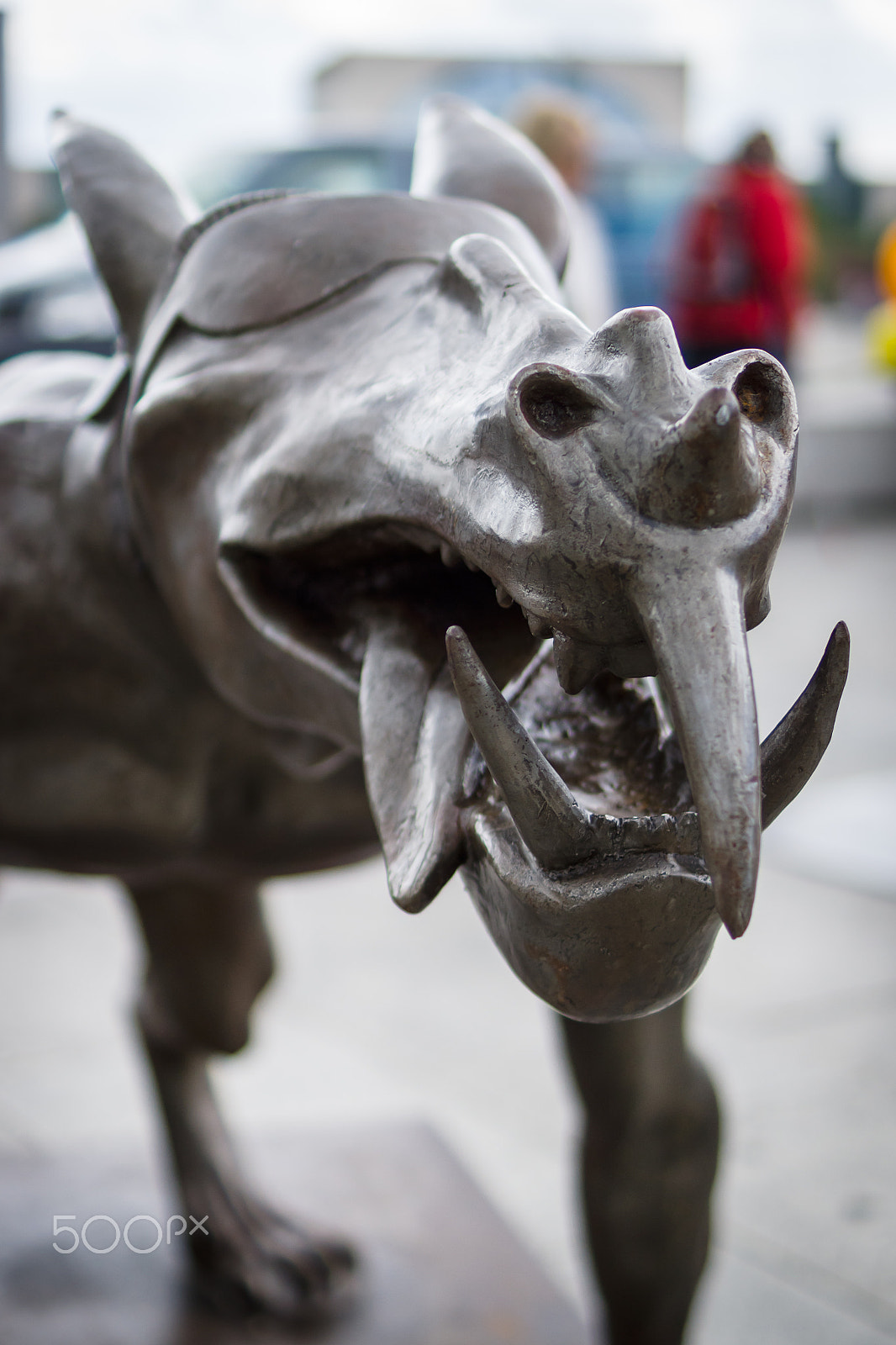 Sony SLT-A77 + Sony DT 35mm F1.8 SAM sample photo. The wolfes are back? photography