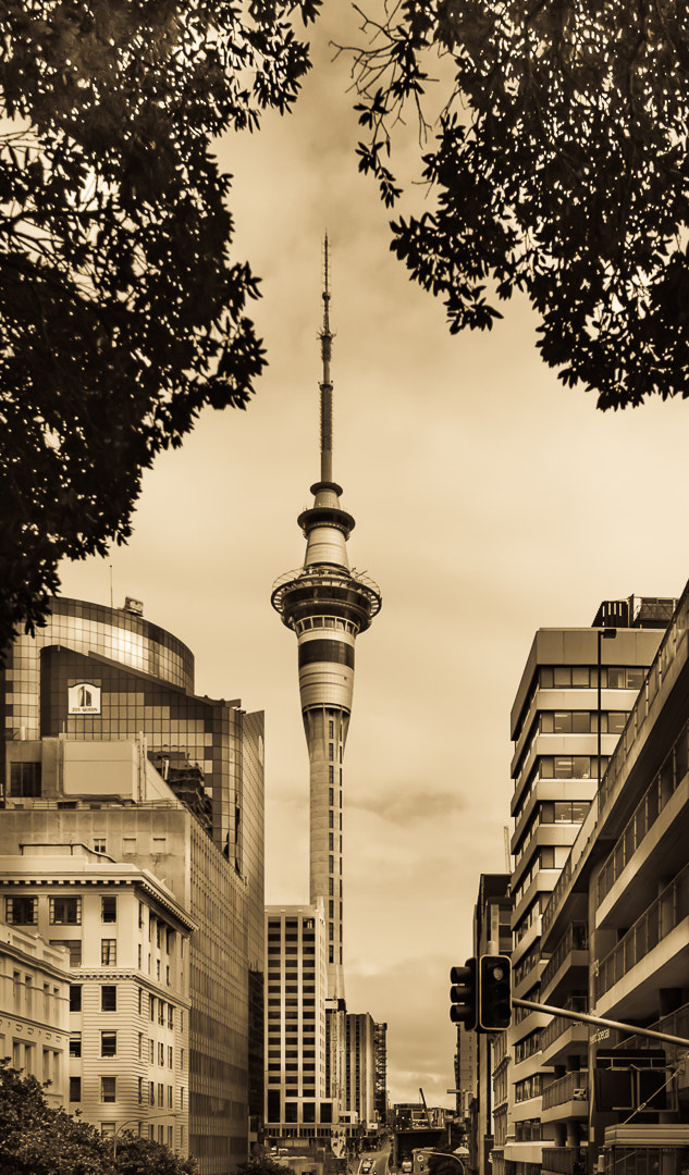 Canon EF 16-35mm F4L IS USM sample photo. Auckland skyline photography