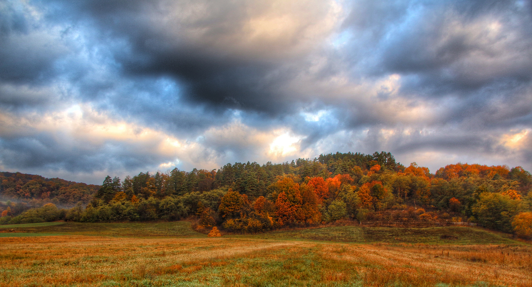 Sigma 18-125mm F3.8-5.6 DC OS HSM sample photo. Autumn photography