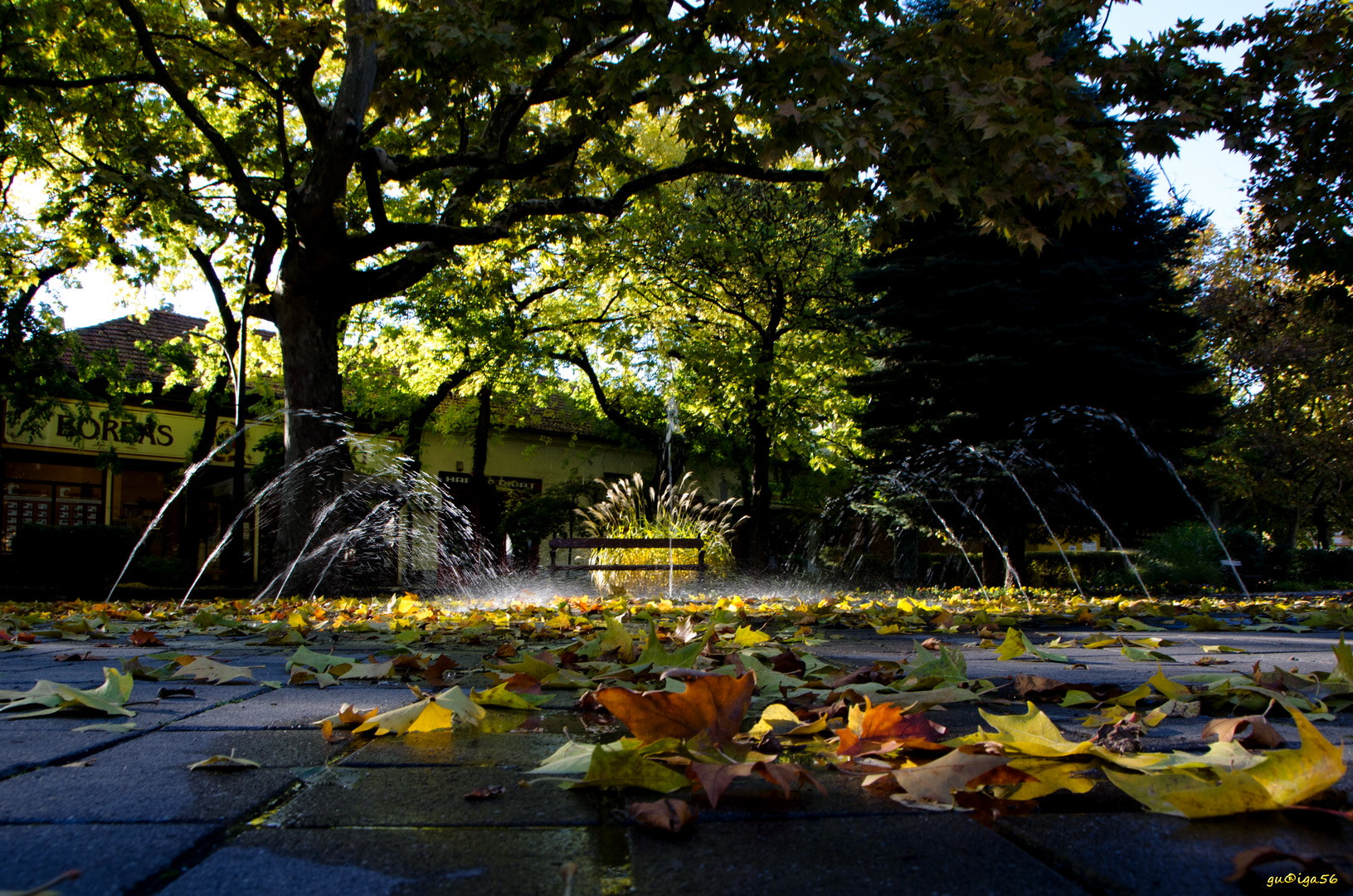 Sigma 18-250mm F3.5-6.3 DC OS HSM sample photo. Őszi szökőkút / autumn fountain photography