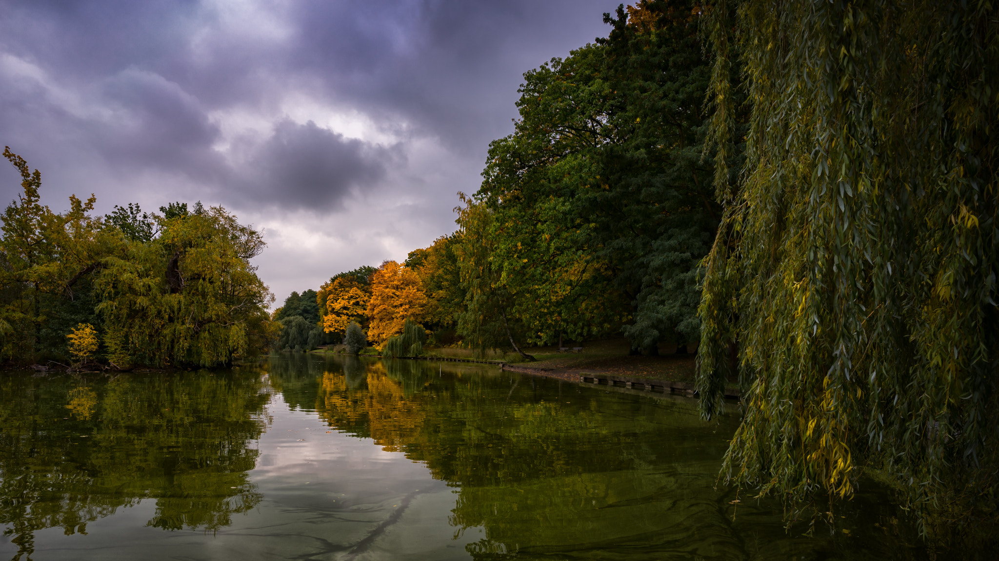 Sony a7 II + ZEISS Batis 18mm F2.8 sample photo. Colorful autumn photography