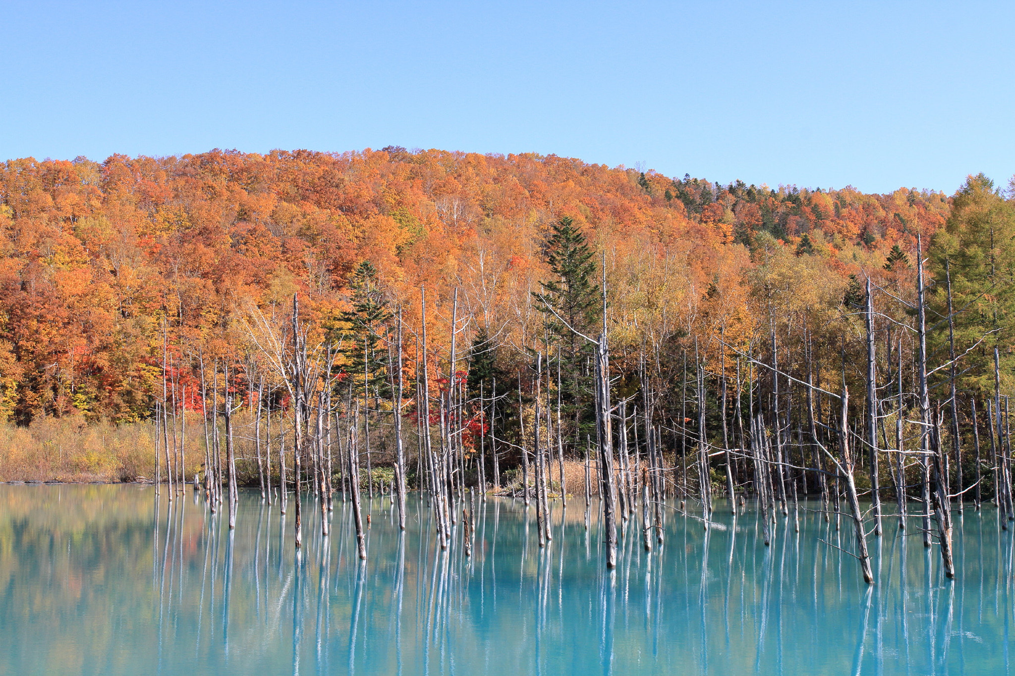 Canon EF 24-70mm F4L IS USM sample photo. Blue pond in oct. photography