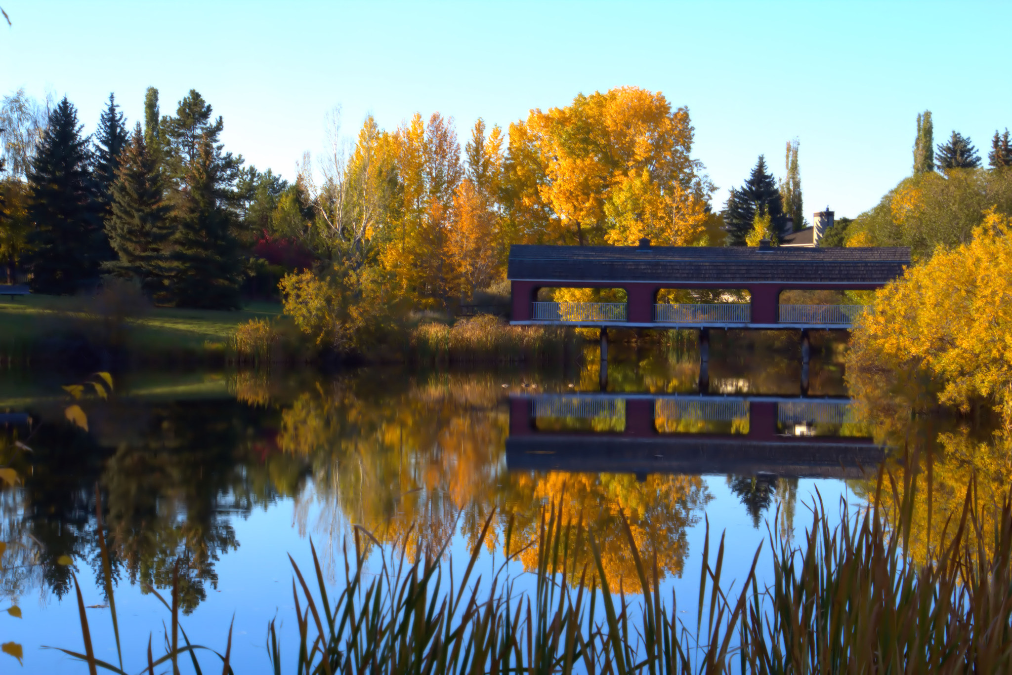 Canon EOS 650D (EOS Rebel T4i / EOS Kiss X6i) sample photo. Fall colors-wooden bridge photography
