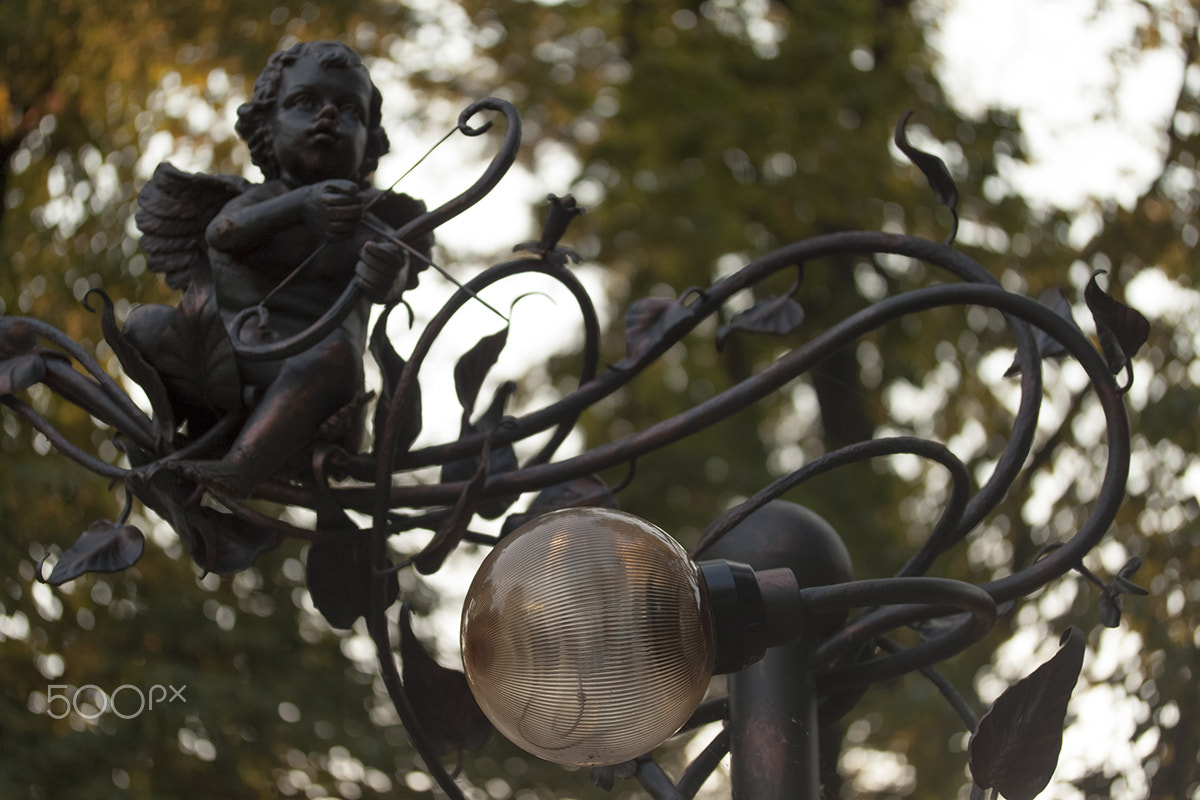 Canon EF-S 60mm F2.8 Macro USM sample photo. Lamp photography
