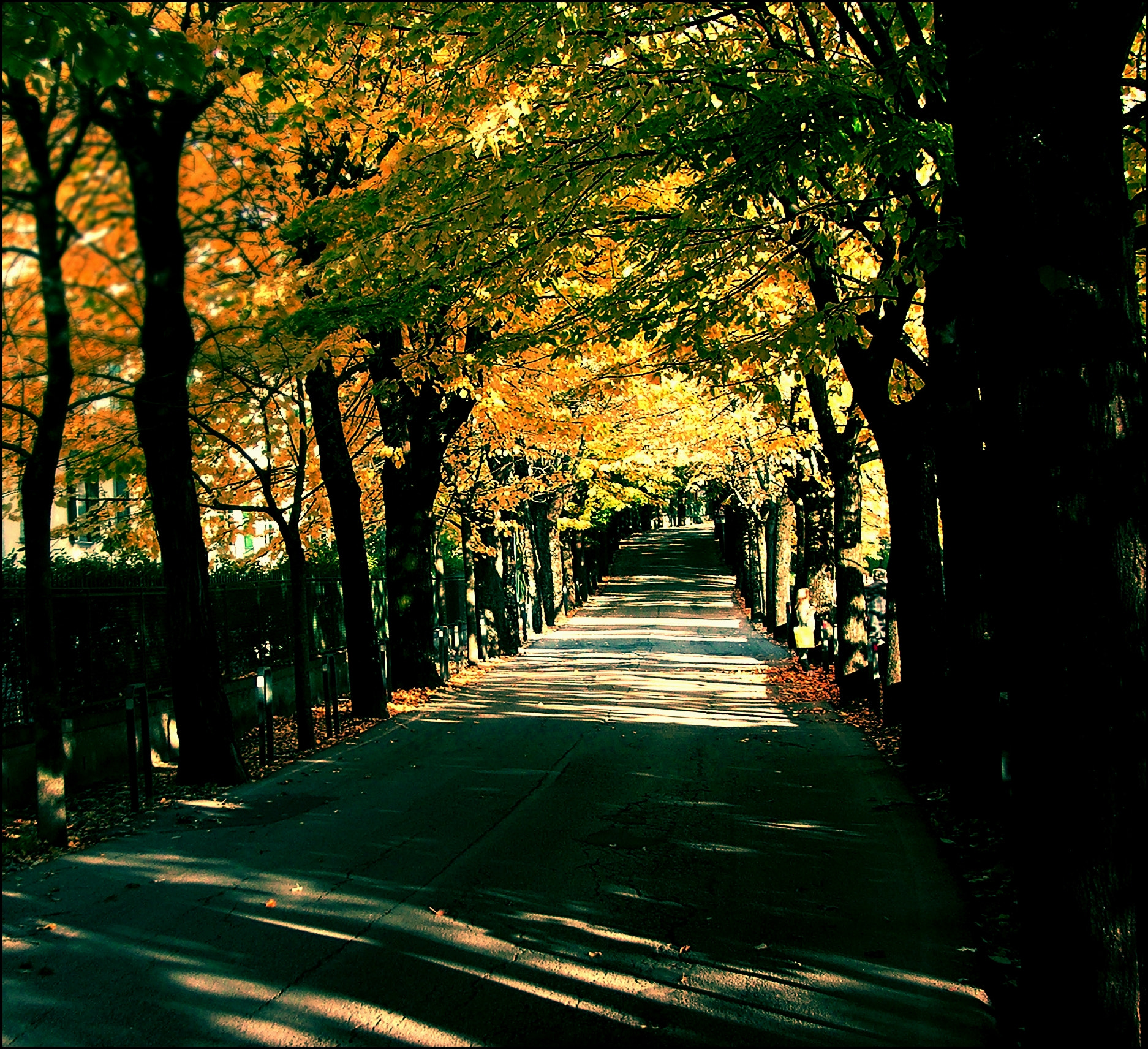 Fujifilm FinePix S5500 sample photo. Strada in città. photography