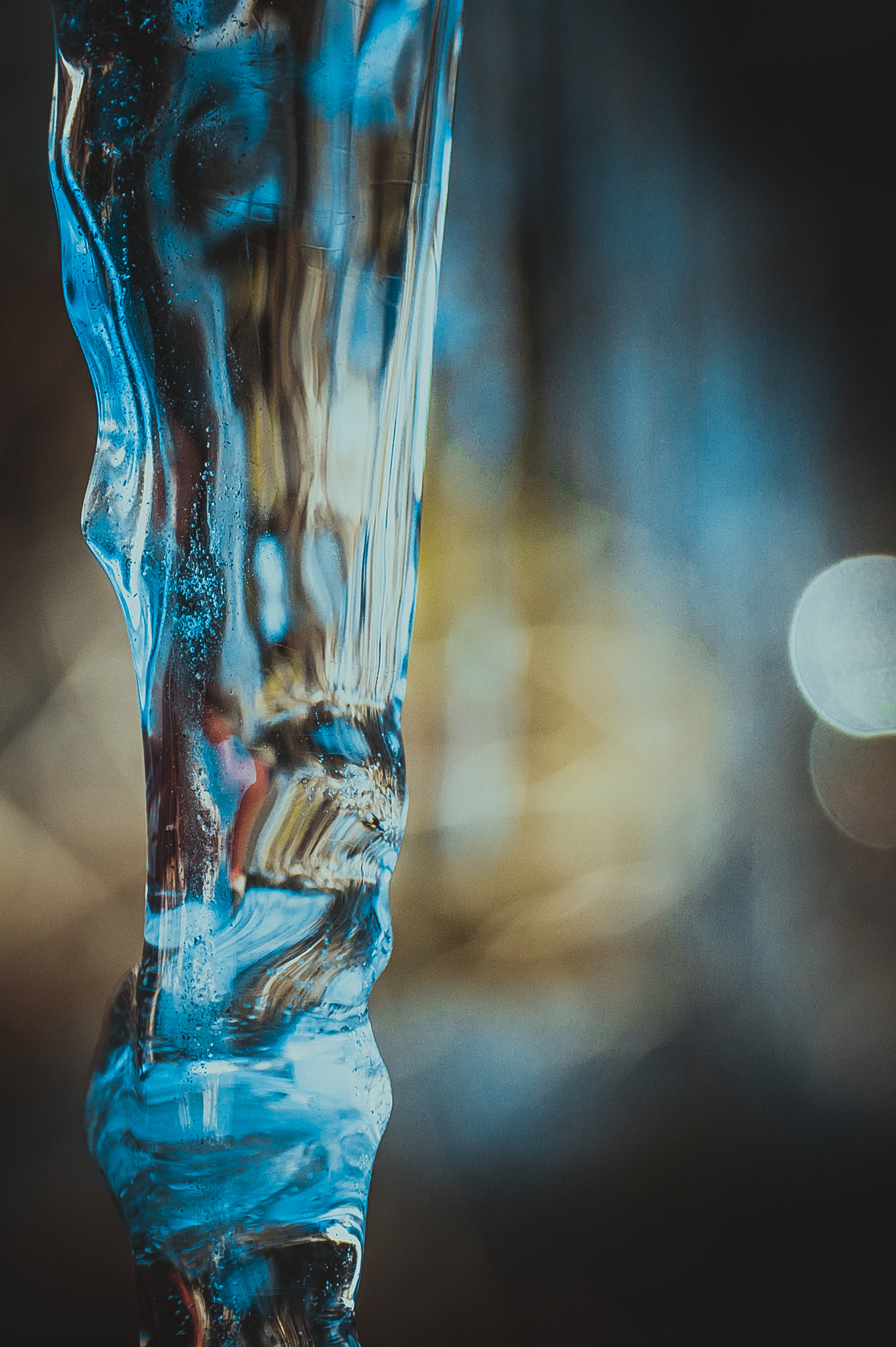 Sony Alpha DSLR-A350 + Minolta AF 50mm F3.5 Macro sample photo. Winter icicle photography