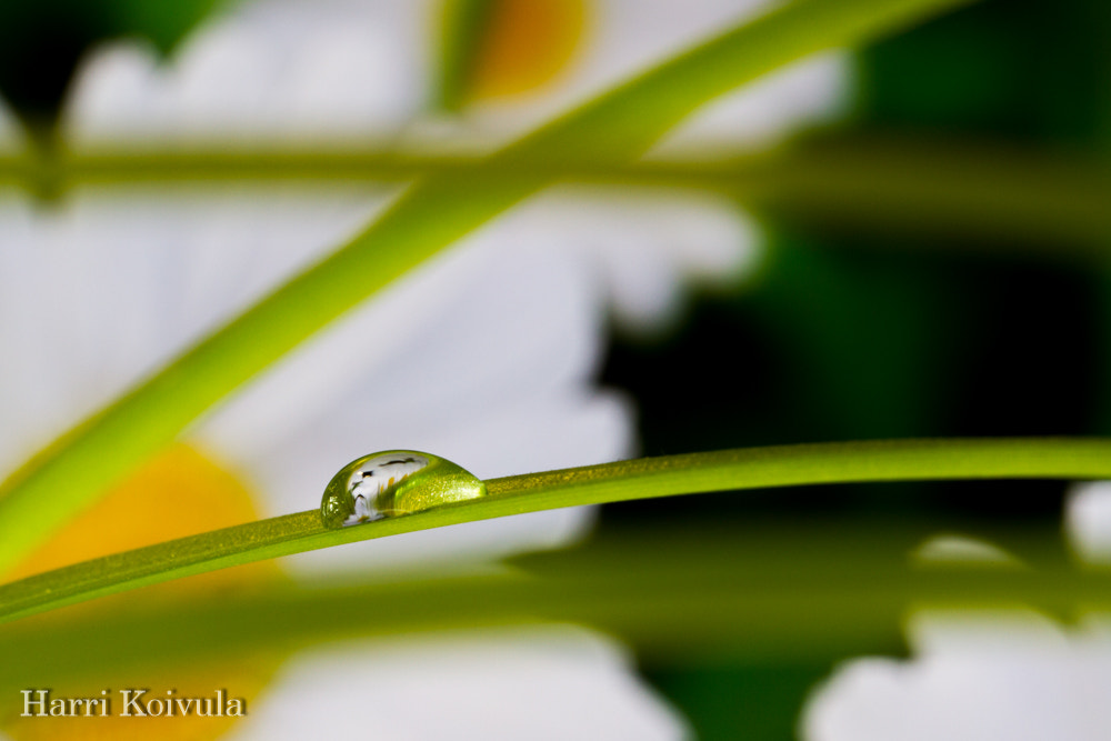 Canon EOS 7D + Canon EF 135mm F2L USM sample photo. Waterdrop photography
