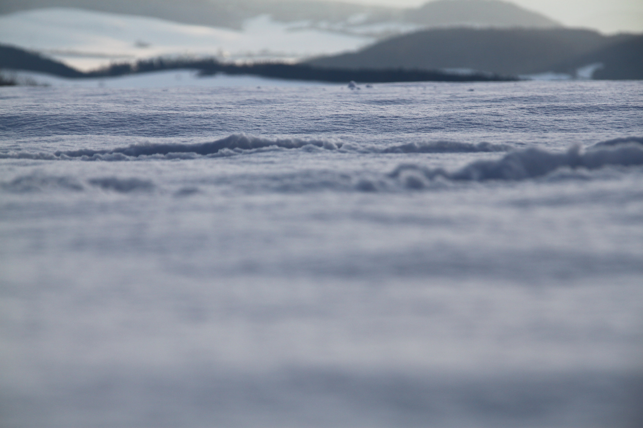Sigma 18-200mm f/3.5-6.3 DC OS sample photo. Snow photography