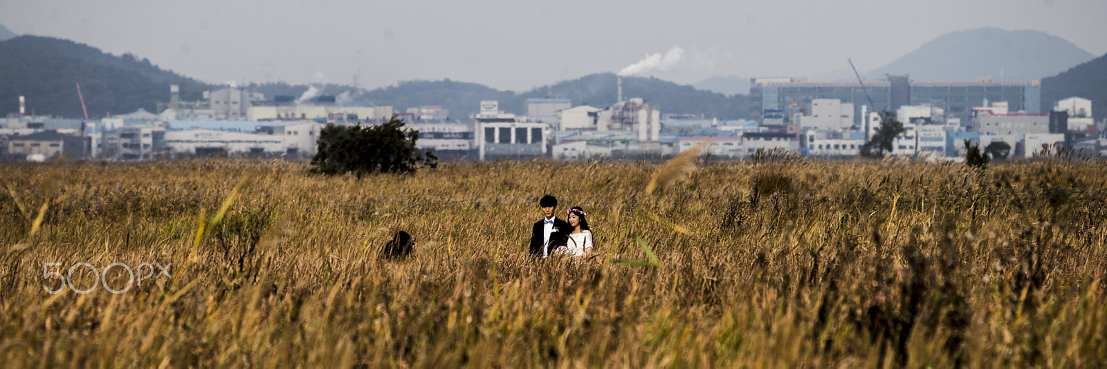 Sony 70-300mm F4.5-5.6 G SSM sample photo. Wedding photo photography