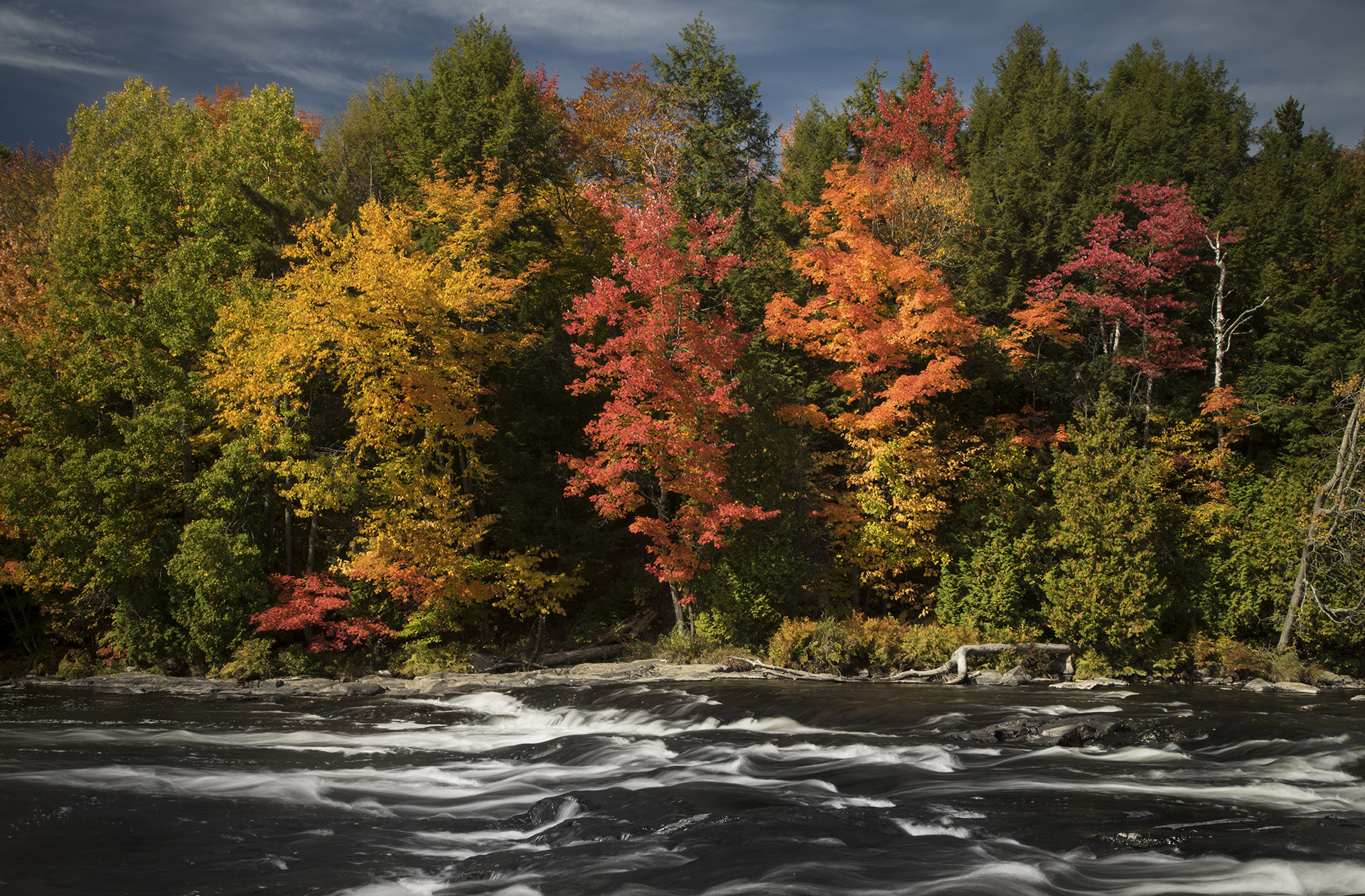 Sony a7R + Canon EF 24-105mm F4L IS USM sample photo. By the river photography