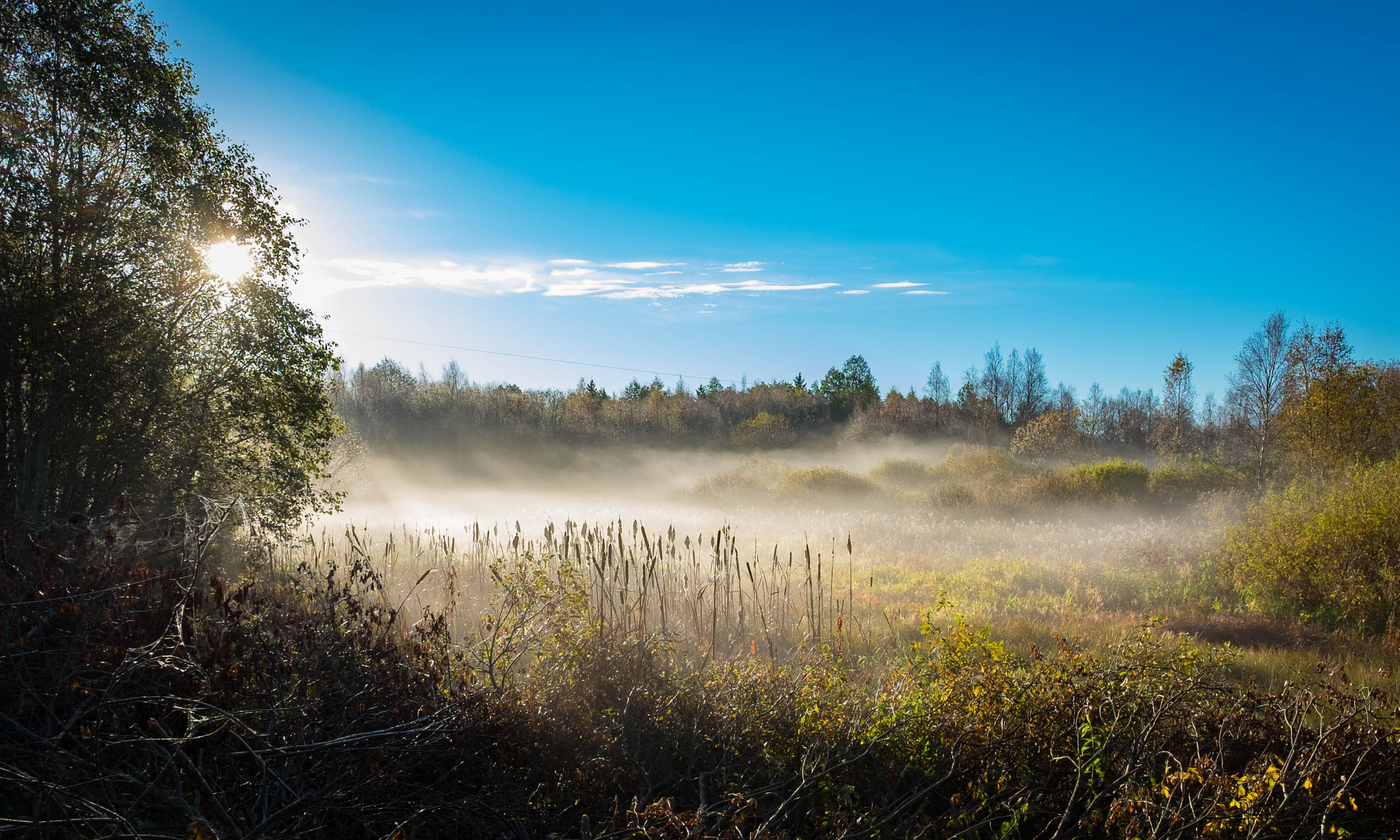 Fujifilm X-E2 + Fujifilm XF 14mm F2.8 R sample photo. Autumn morning photography