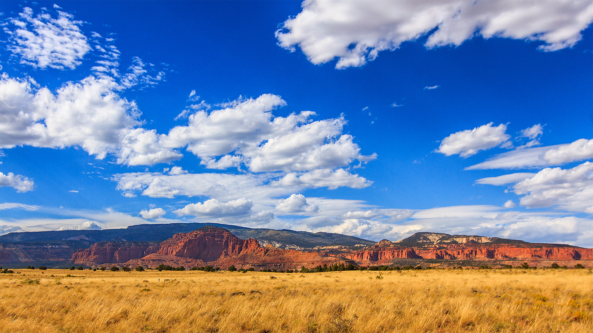 Tokina AT-X Pro 12-24mm F4 (IF) DX sample photo. Capitol reef photography