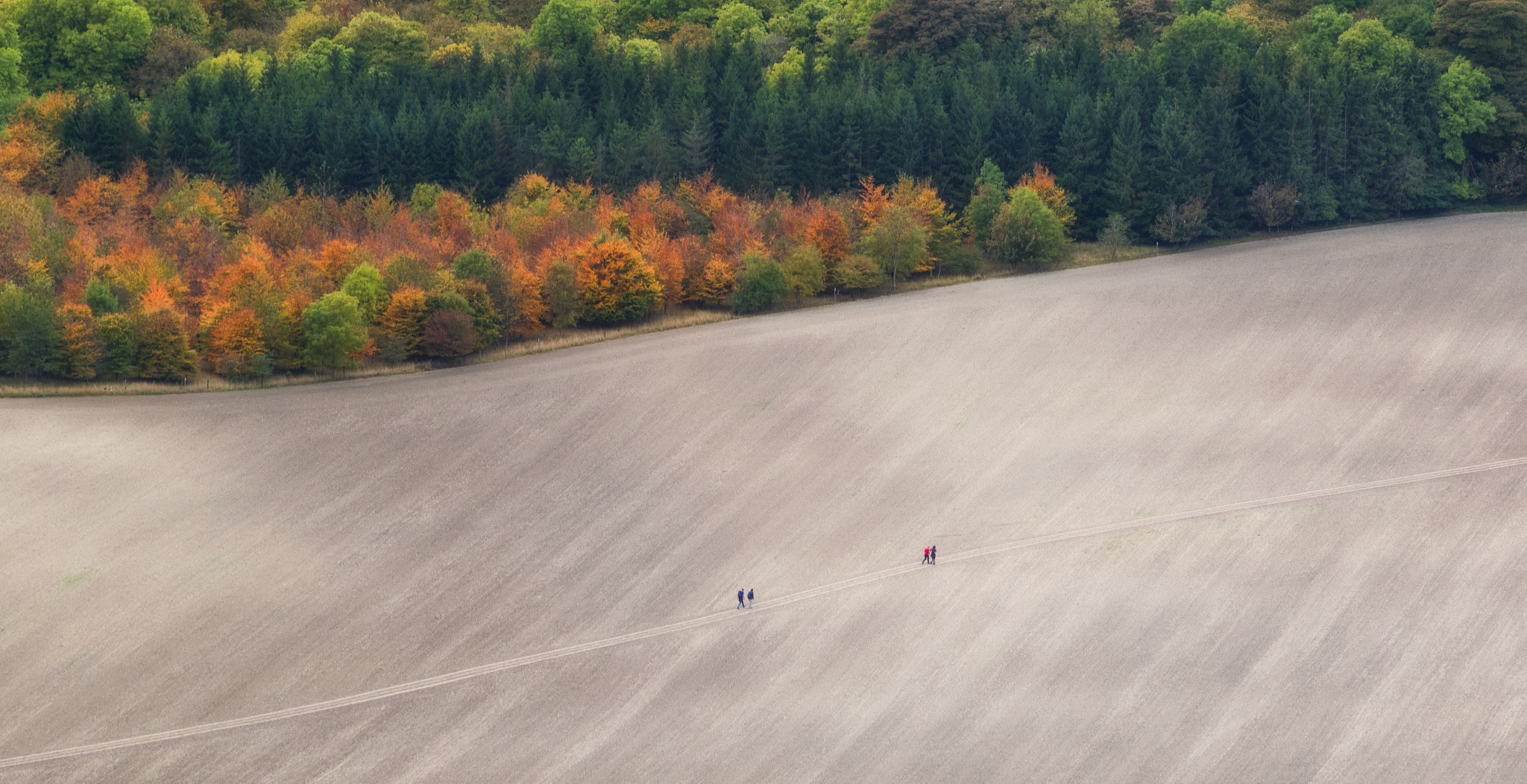 EF75-300mm f/4-5.6 sample photo. A walk through the chilterns photography