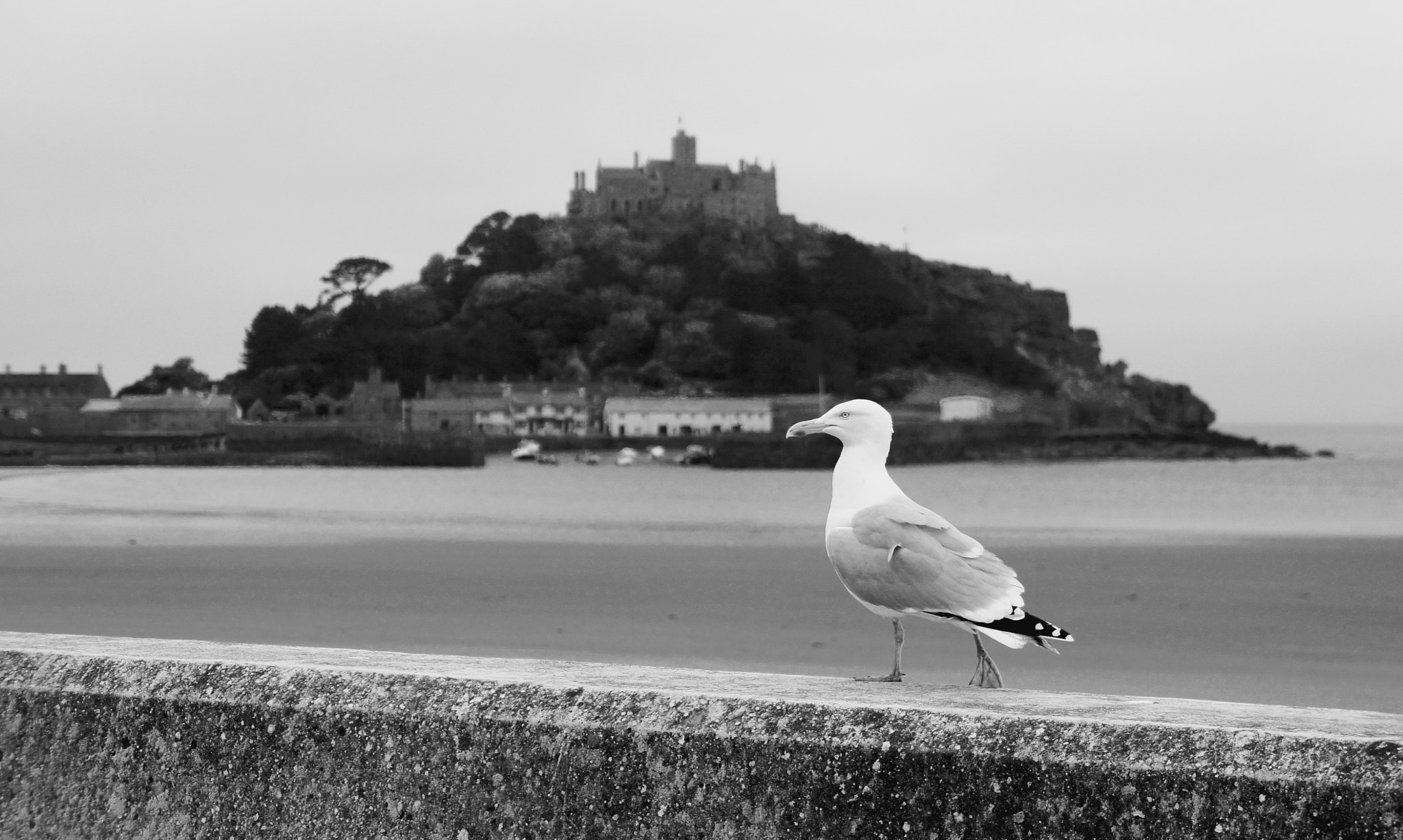 Sony E 18-55mm F3.5-5.6 OSS sample photo. Saint michael's mount... photography
