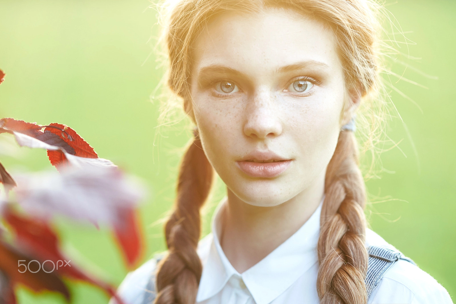 Sony Sonnar T* 135mm F1.8 ZA sample photo. ***** photography
