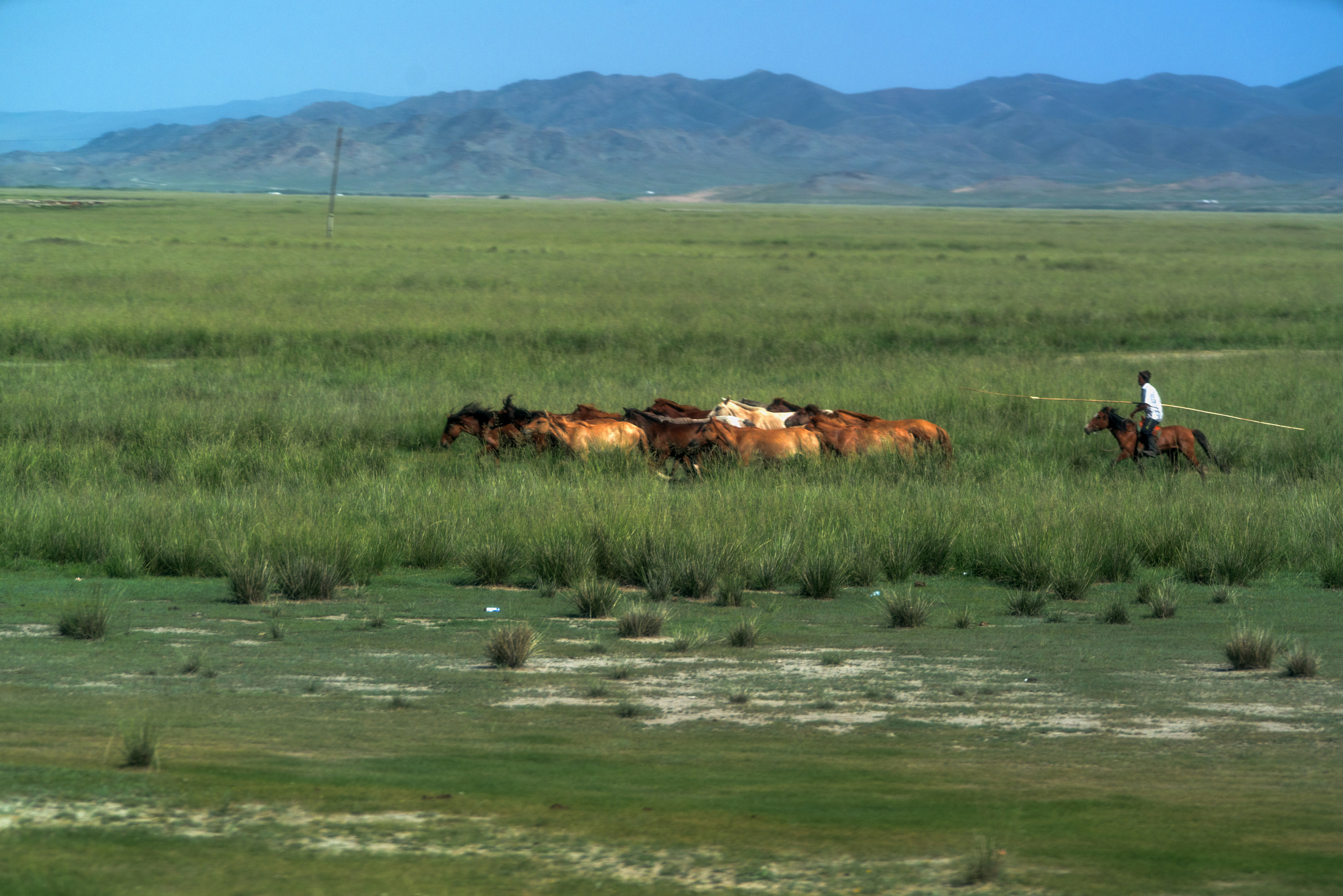 Sony 70-400mm F4-5.6 G SSM II sample photo. Orkhon valley in mongolia photography