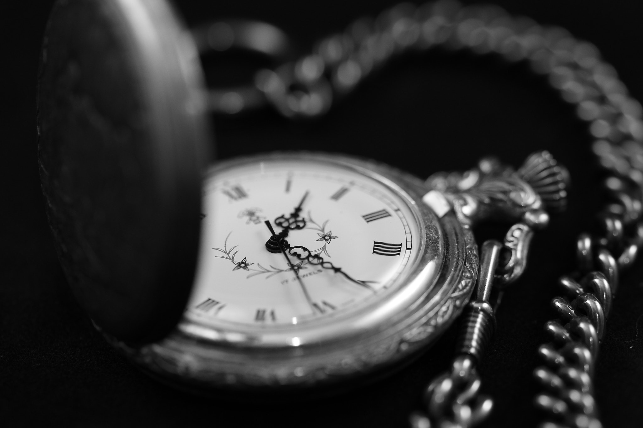 Sigma 105mm F2.8 EX DG OS HSM sample photo. Untitled photography