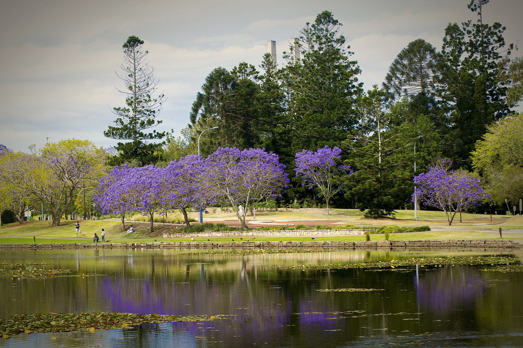 Nikon AF-S Nikkor 70-200mm F4G ED VR sample photo. University of queensland campus photography