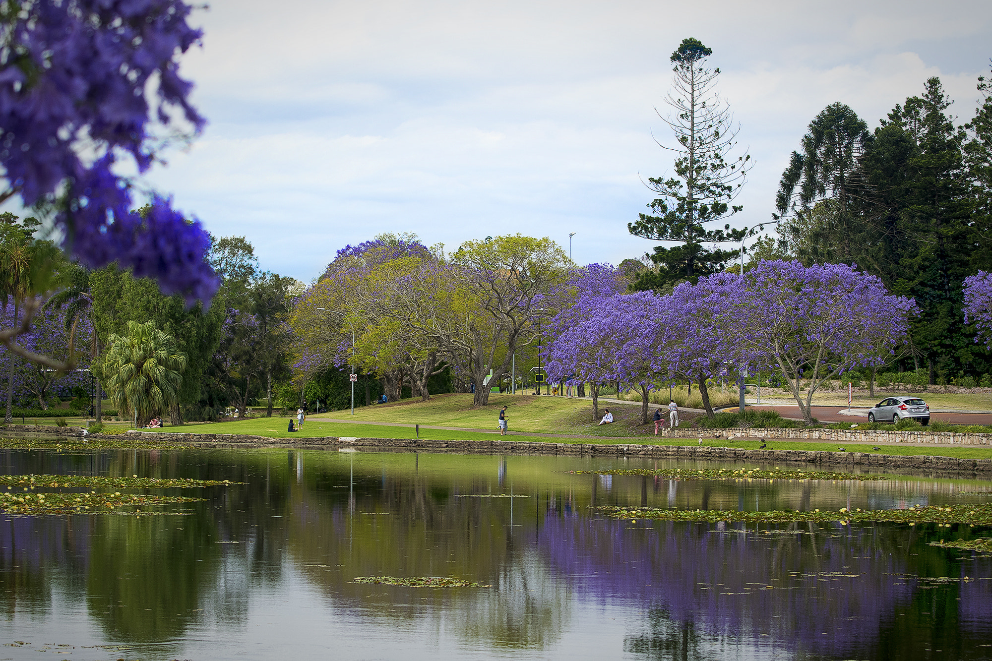 Nikon AF-S Nikkor 70-200mm F4G ED VR sample photo. University of queensland campus photography