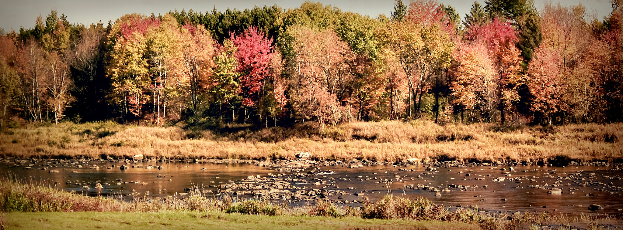 Canon EF-S 55-250mm F4-5.6 IS II sample photo. Automne photography