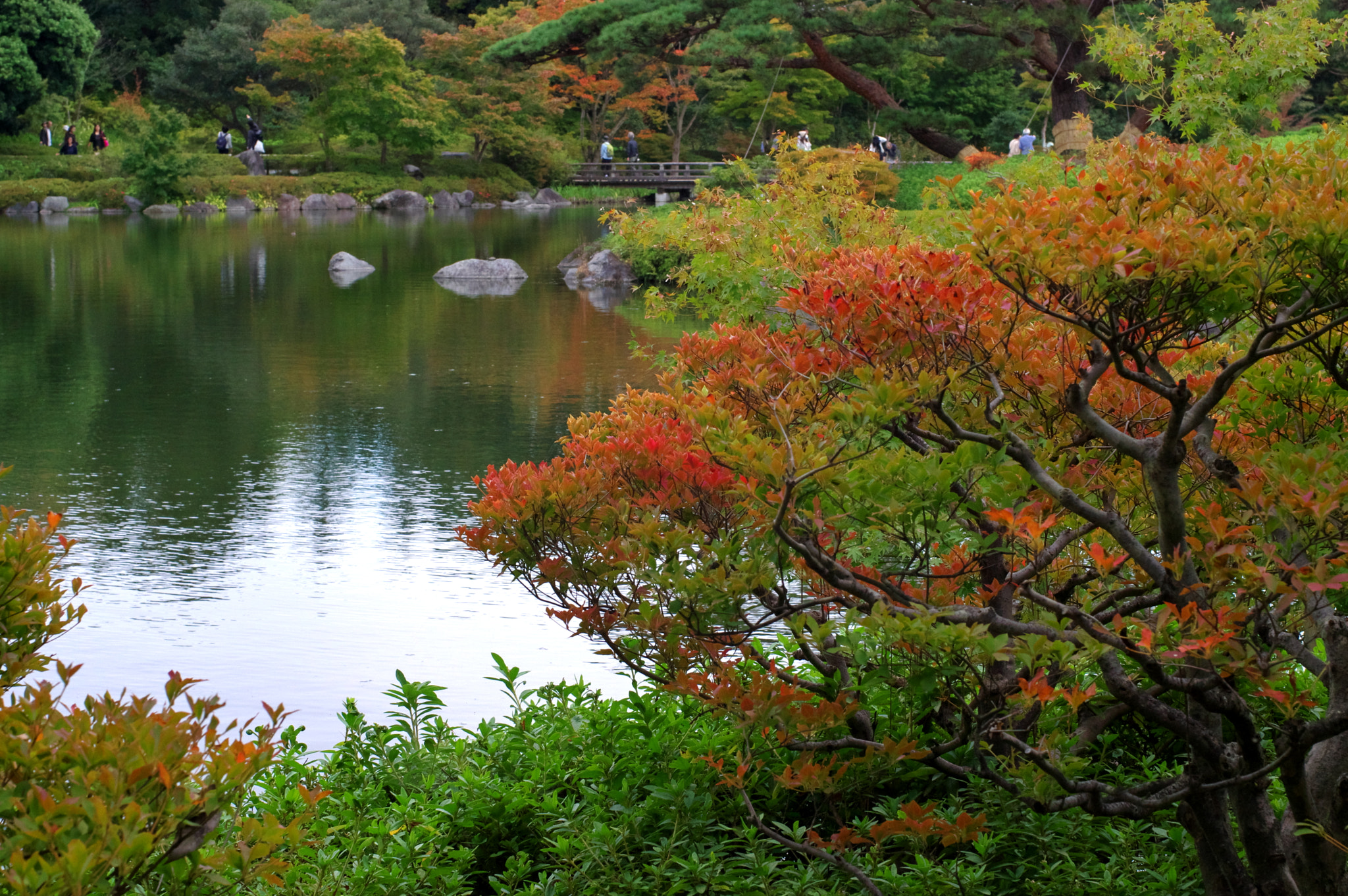 Pentax K-3 sample photo. October tokyo 2 photography