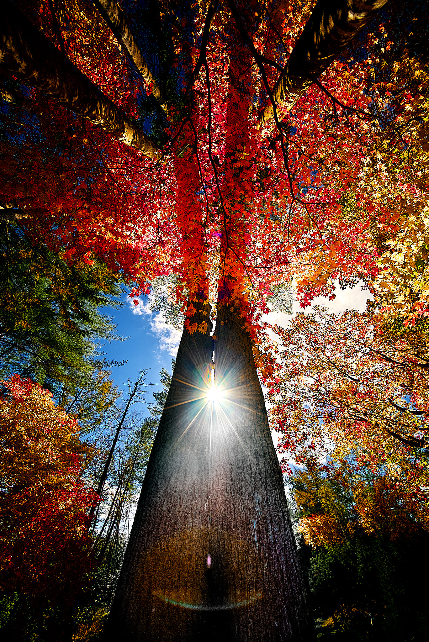 E 10mm F5.6 sample photo. Tower of the sun photography