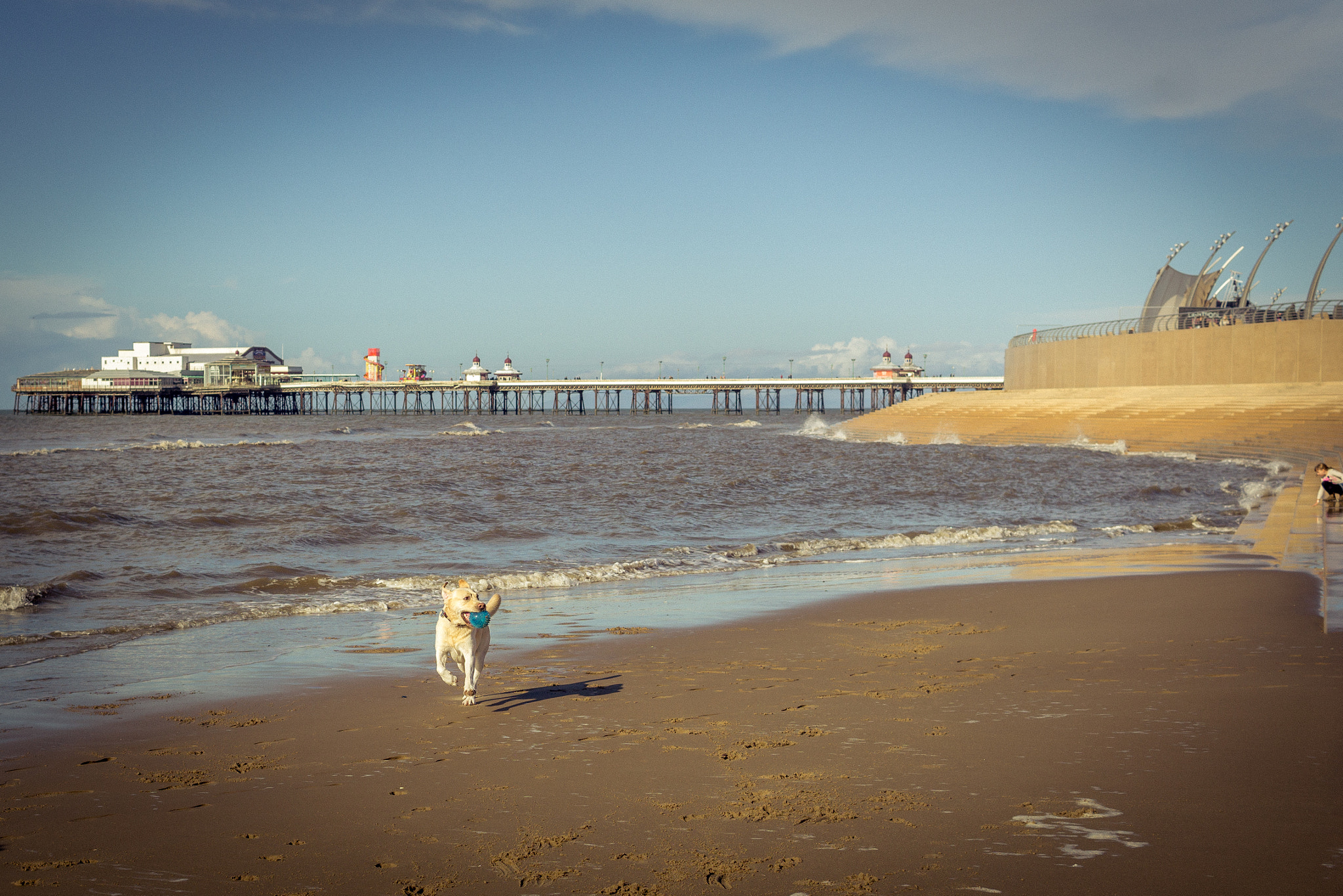 Sony a5100 sample photo. Obi blackpool dash for freedom photography