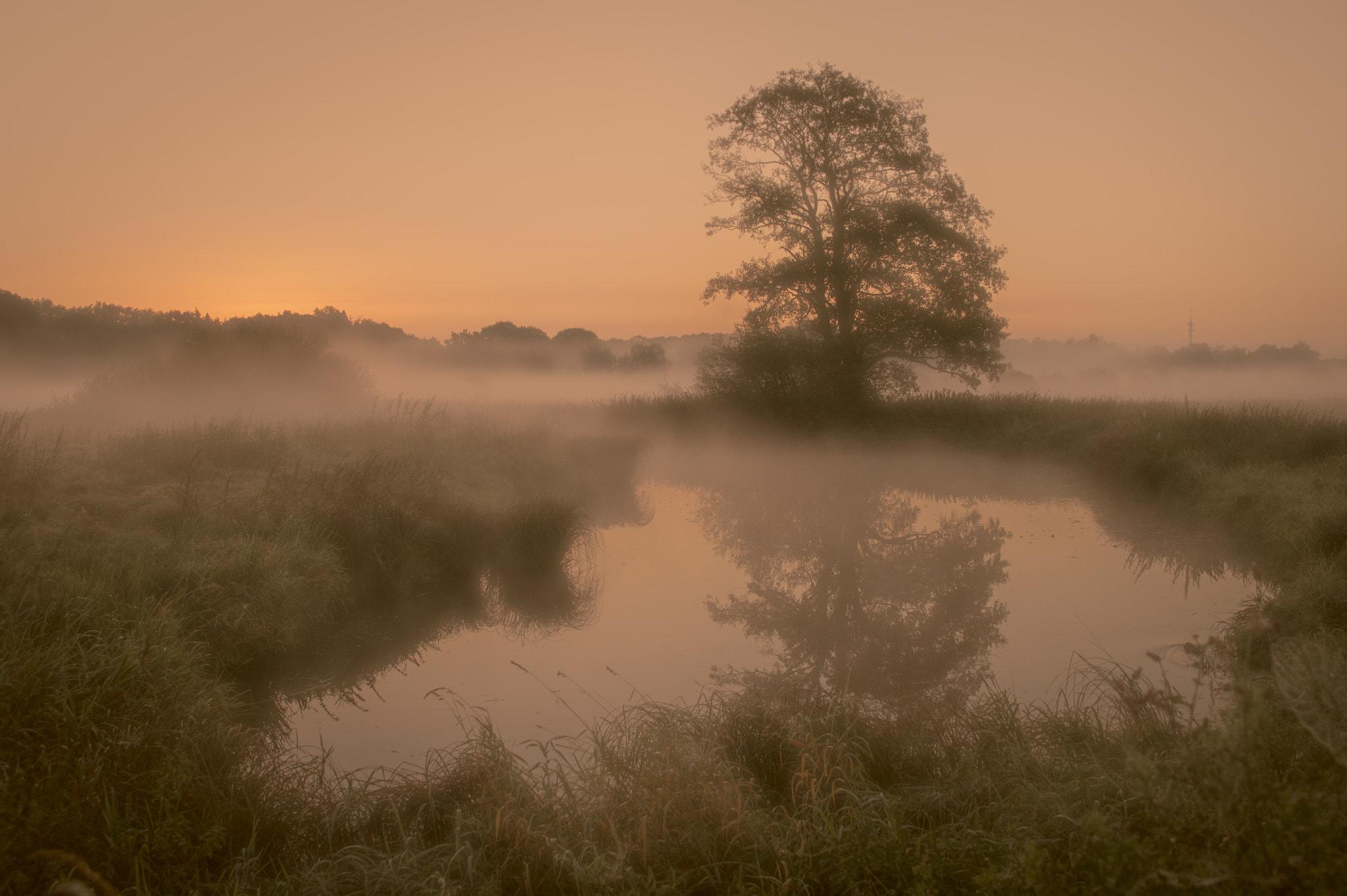 Sony SLT-A58 + Tamron 16-300mm F3.5-6.3 Di II VC PZD Macro sample photo. Mystic morning photography