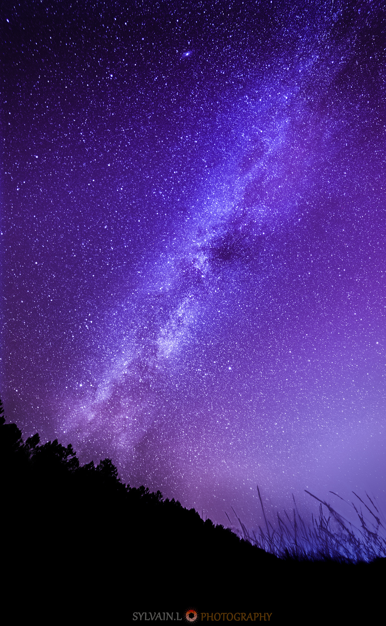 Samyang 14mm F2.8 ED AS IF UMC sample photo. Purple rain photography