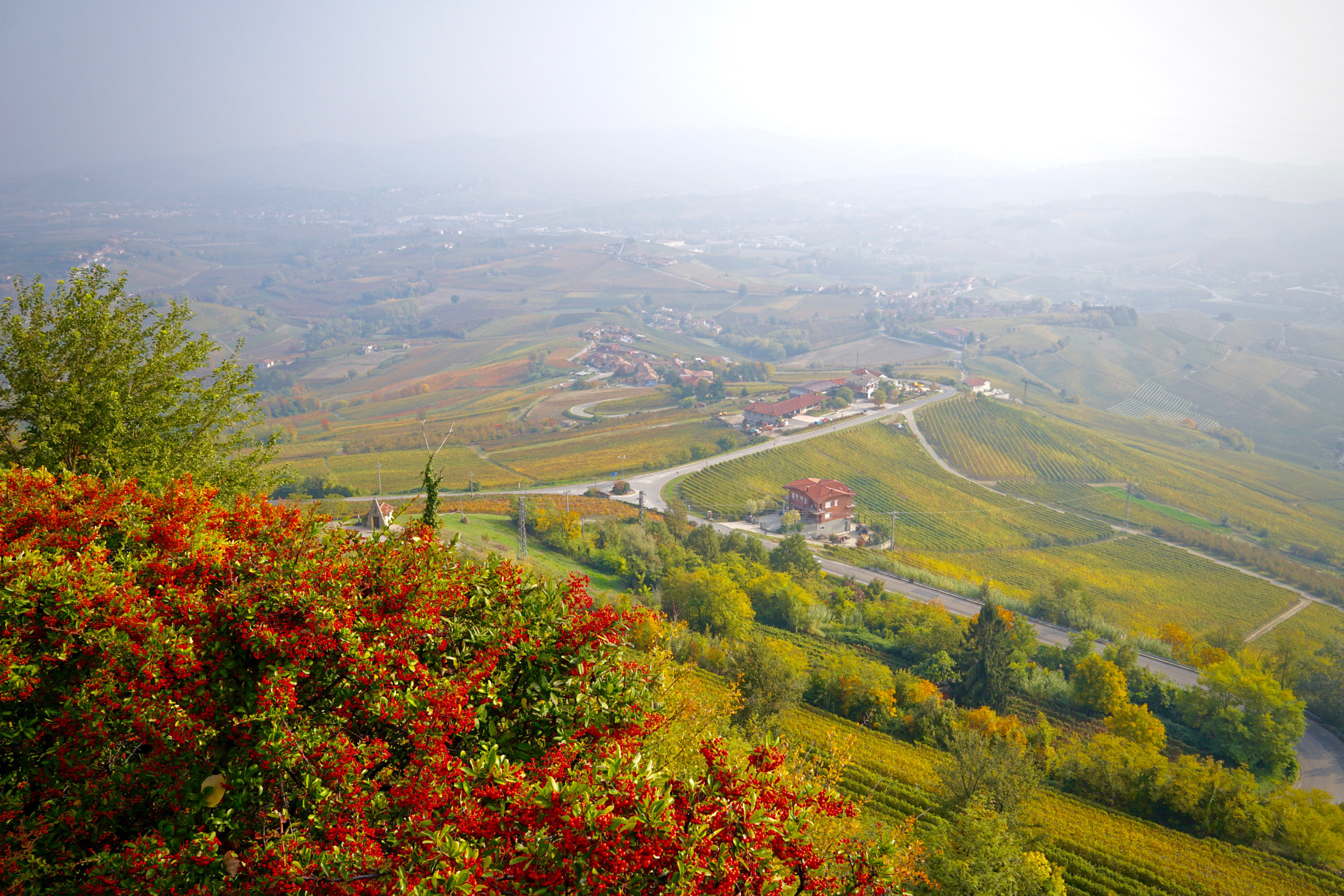Sony a6300 + Sigma 19mm F2.8 EX DN sample photo. Barolo tasting trip photography
