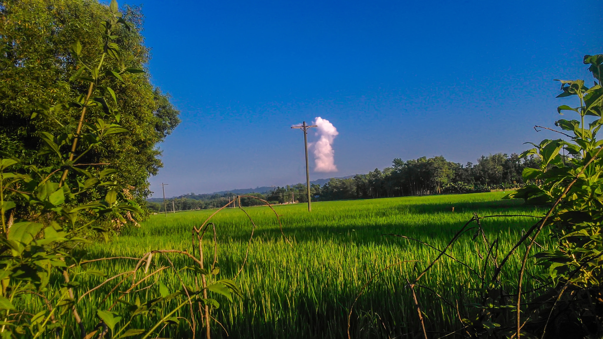 Sony Xperia L sample photo. One part of the cloud, and a wireless poles photography
