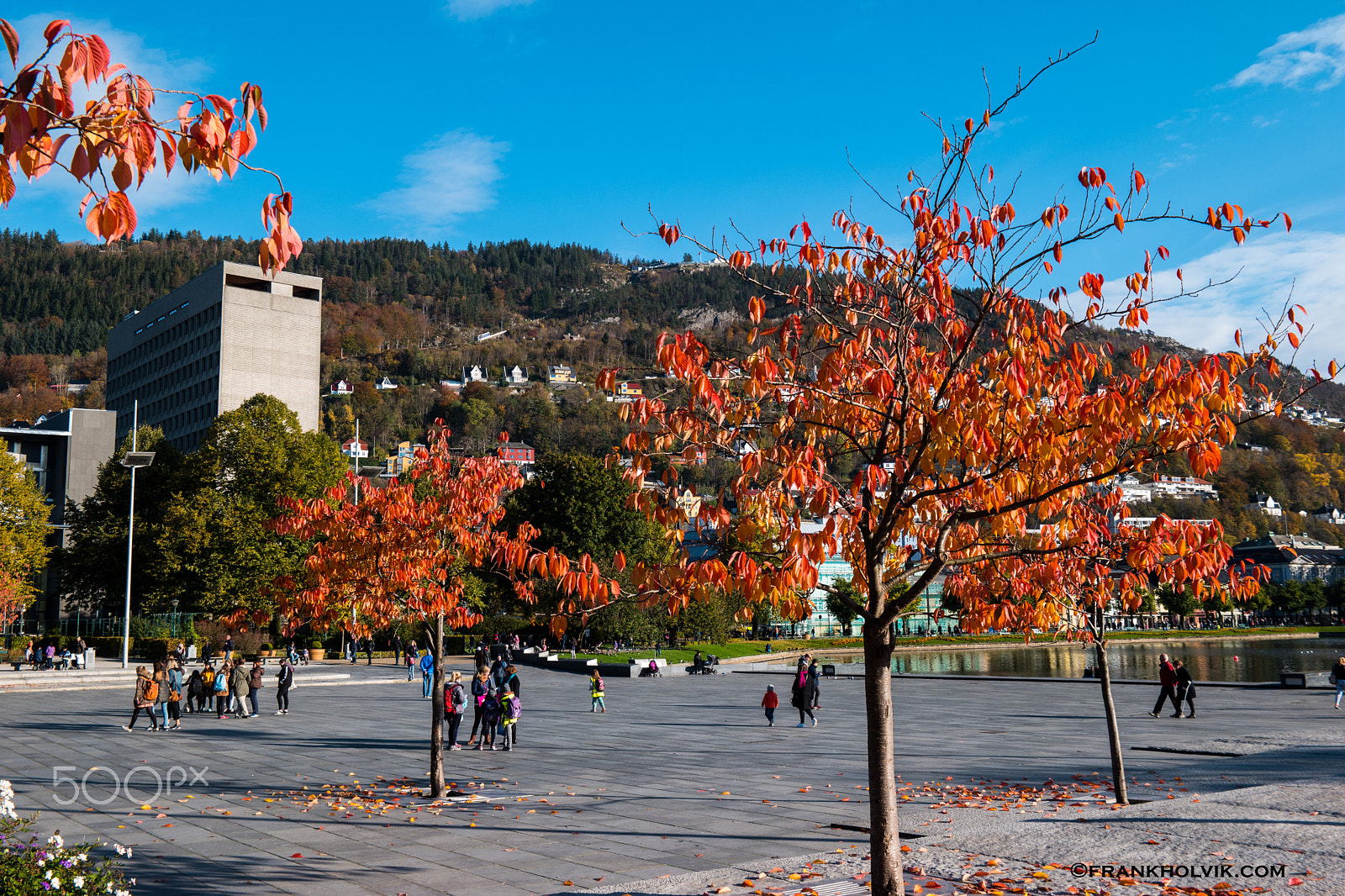 Samsung NX 16-50mm F2.0-2.8 S ED OIS sample photo. Autumn in bergen city photography