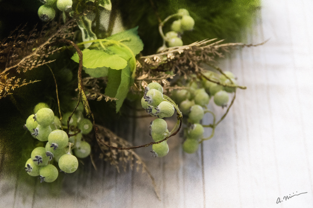 Canon EOS M3 sample photo. Berries photography