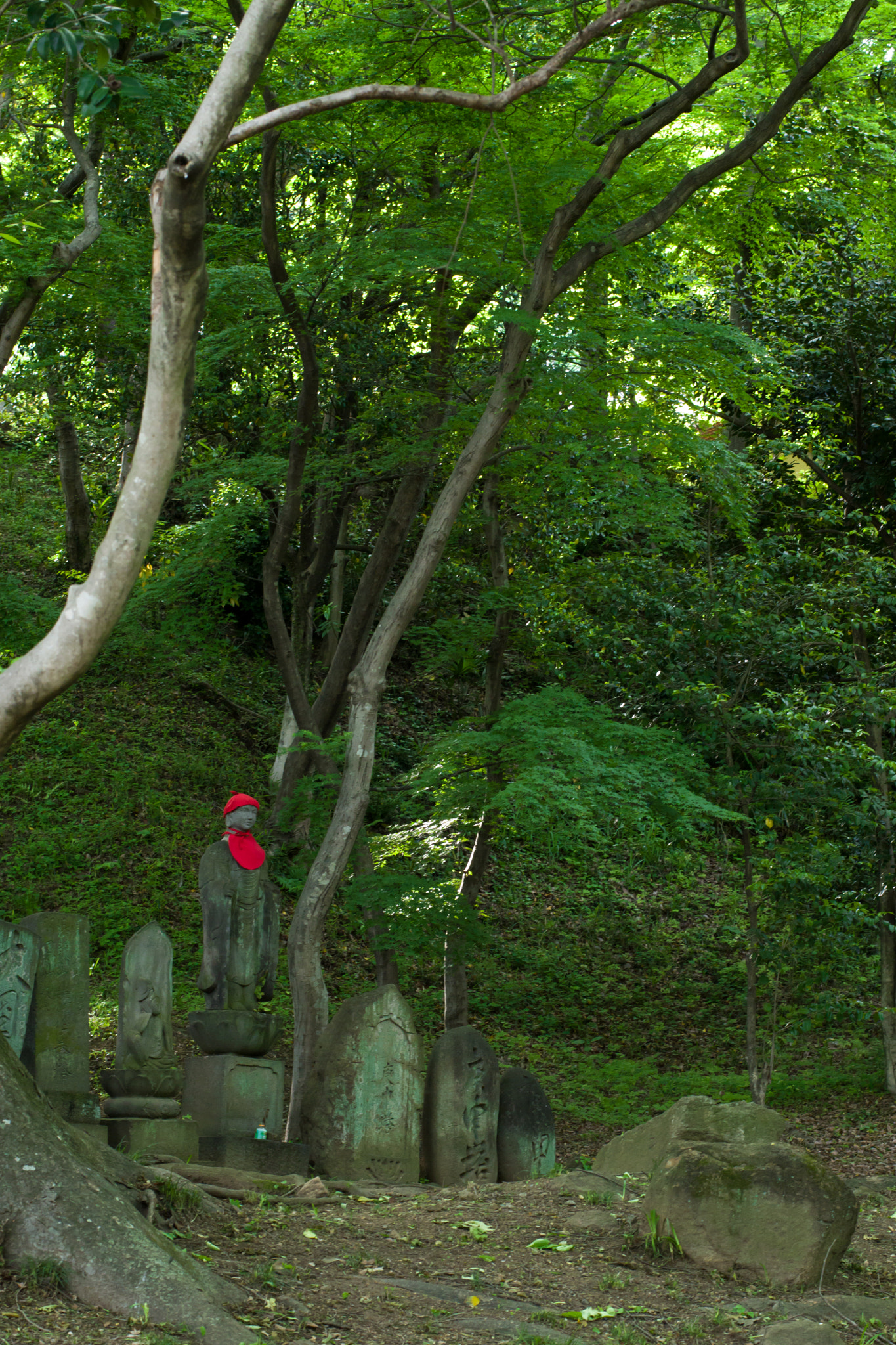 Pentax K-3 + Pentax smc DA* 55mm F1.4 SDM sample photo. ** photography