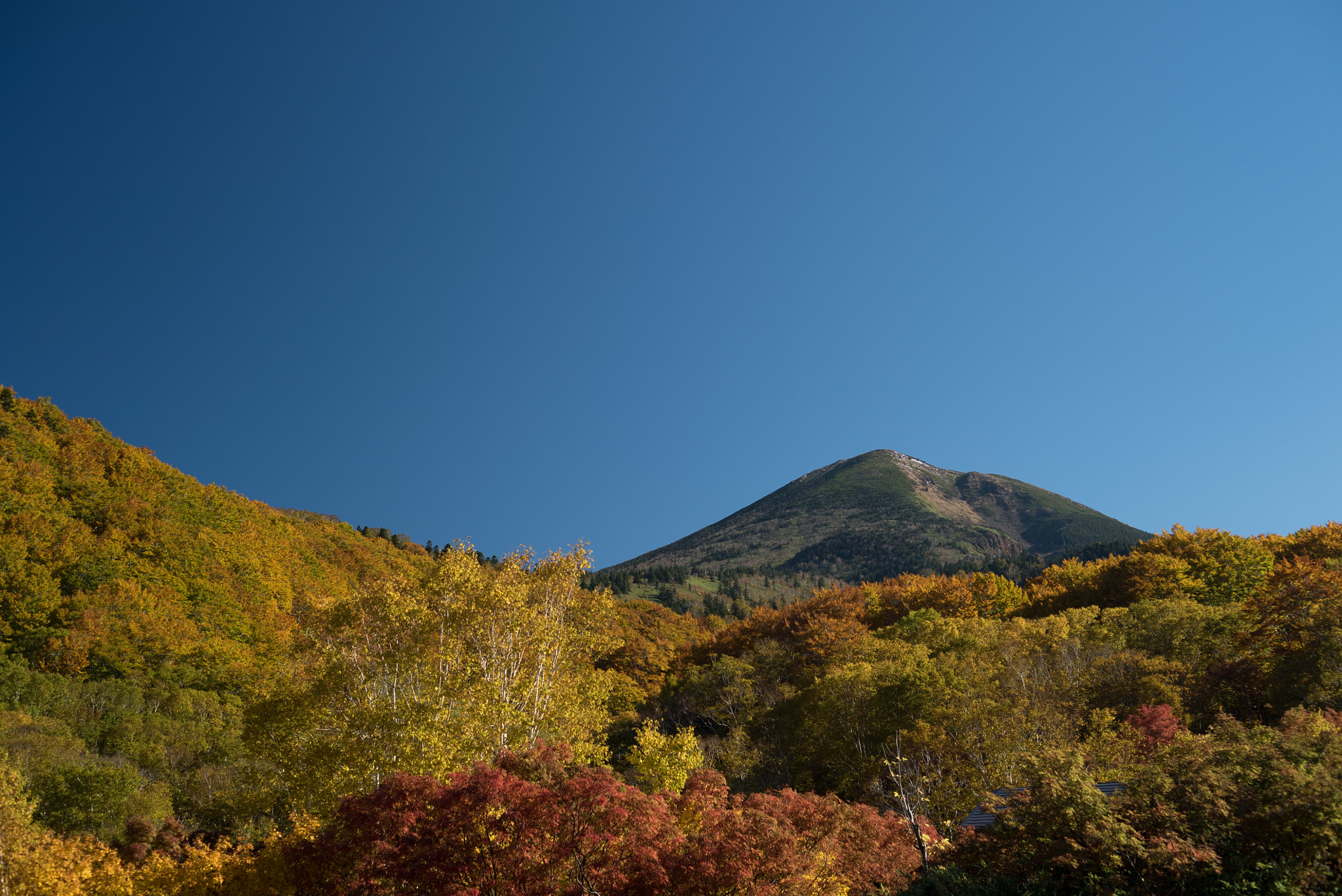 E 50mm F2 sample photo. Dsc photography
