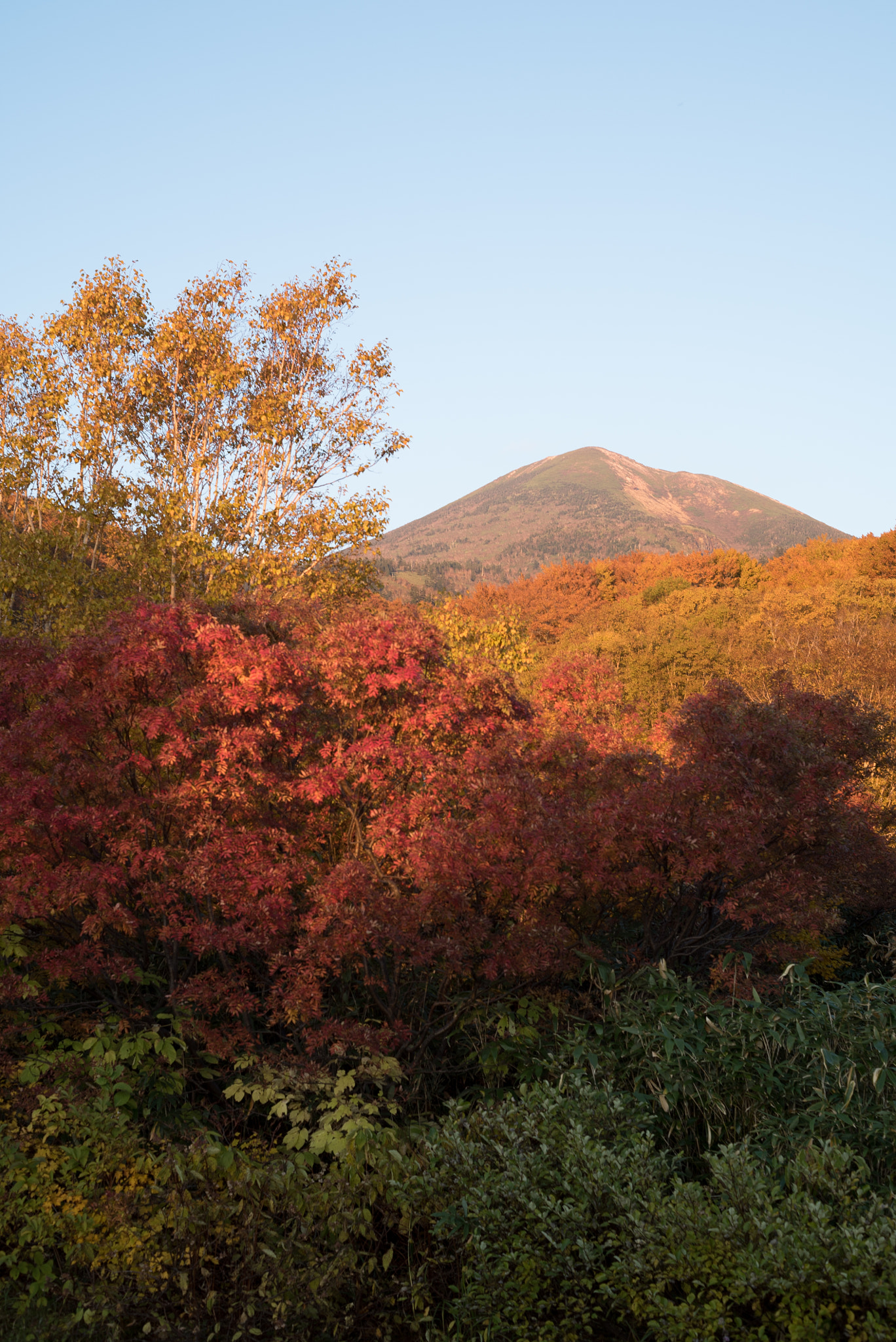 E 50mm F2 sample photo. Colors photography