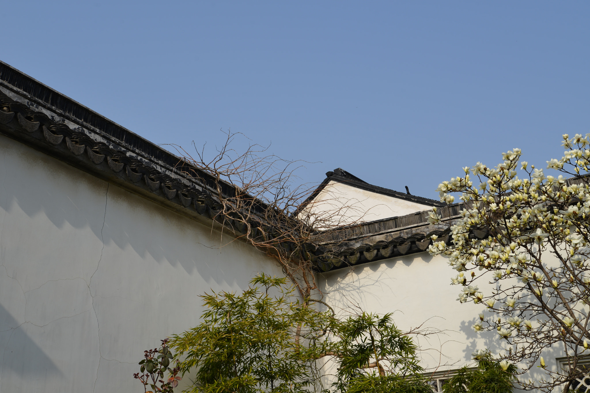 Nikon D600 sample photo. My city photography