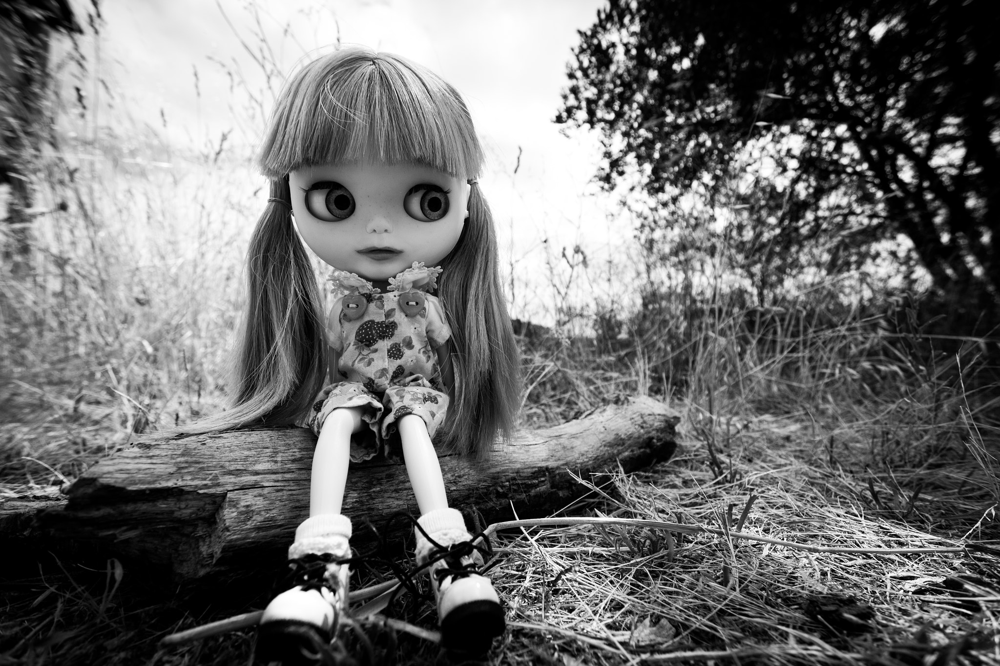 Sigma 10-20mm F3.5 EX DC HSM sample photo. Custom blythe doll photography