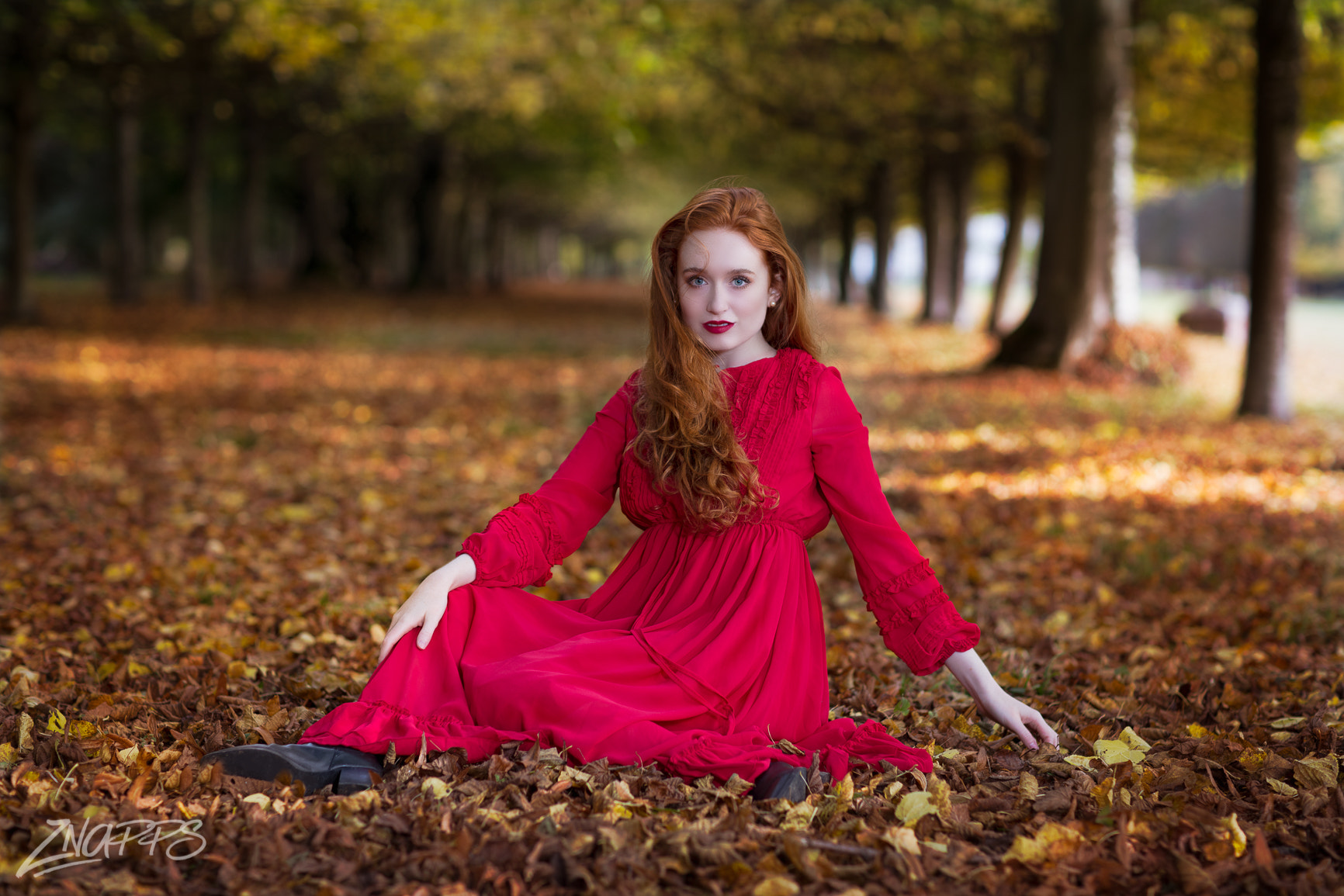 Canon EOS 5DS + Canon EF 85mm F1.2L II USM sample photo. Forest red photography