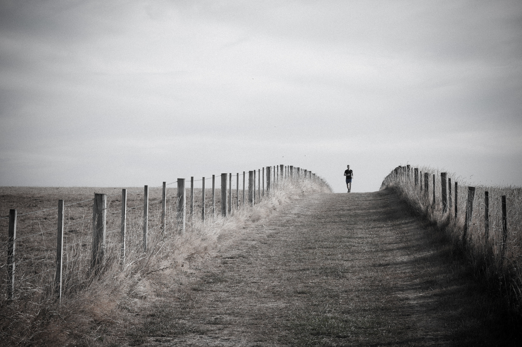 Nikon D300S sample photo. The runner photography