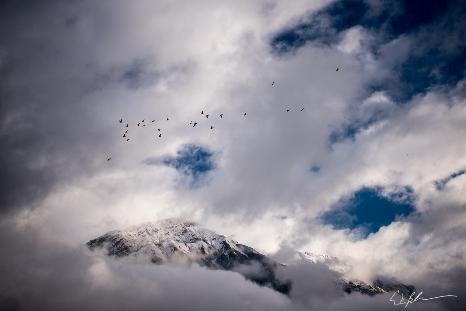 Nikon AF-S Nikkor 28-70mm F2.8 ED-IF sample photo. Crows over innsbruck photography