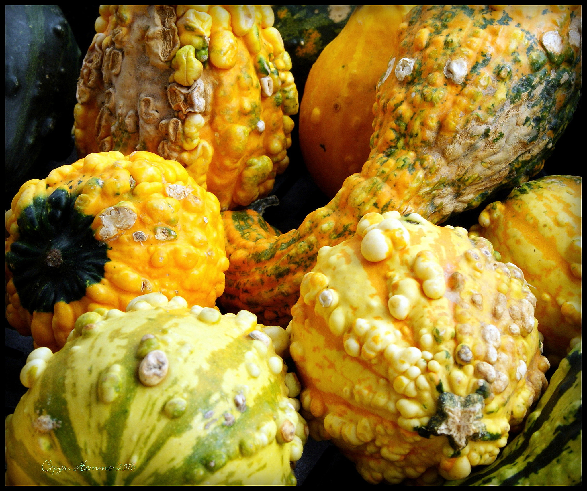 Minolta AF 35-70mm F3.5-4.5 [II] sample photo. At the greengrocer's... photography