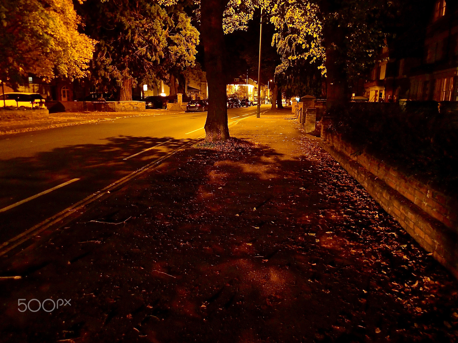 Olympus TG-2 sample photo. Toward the light photography