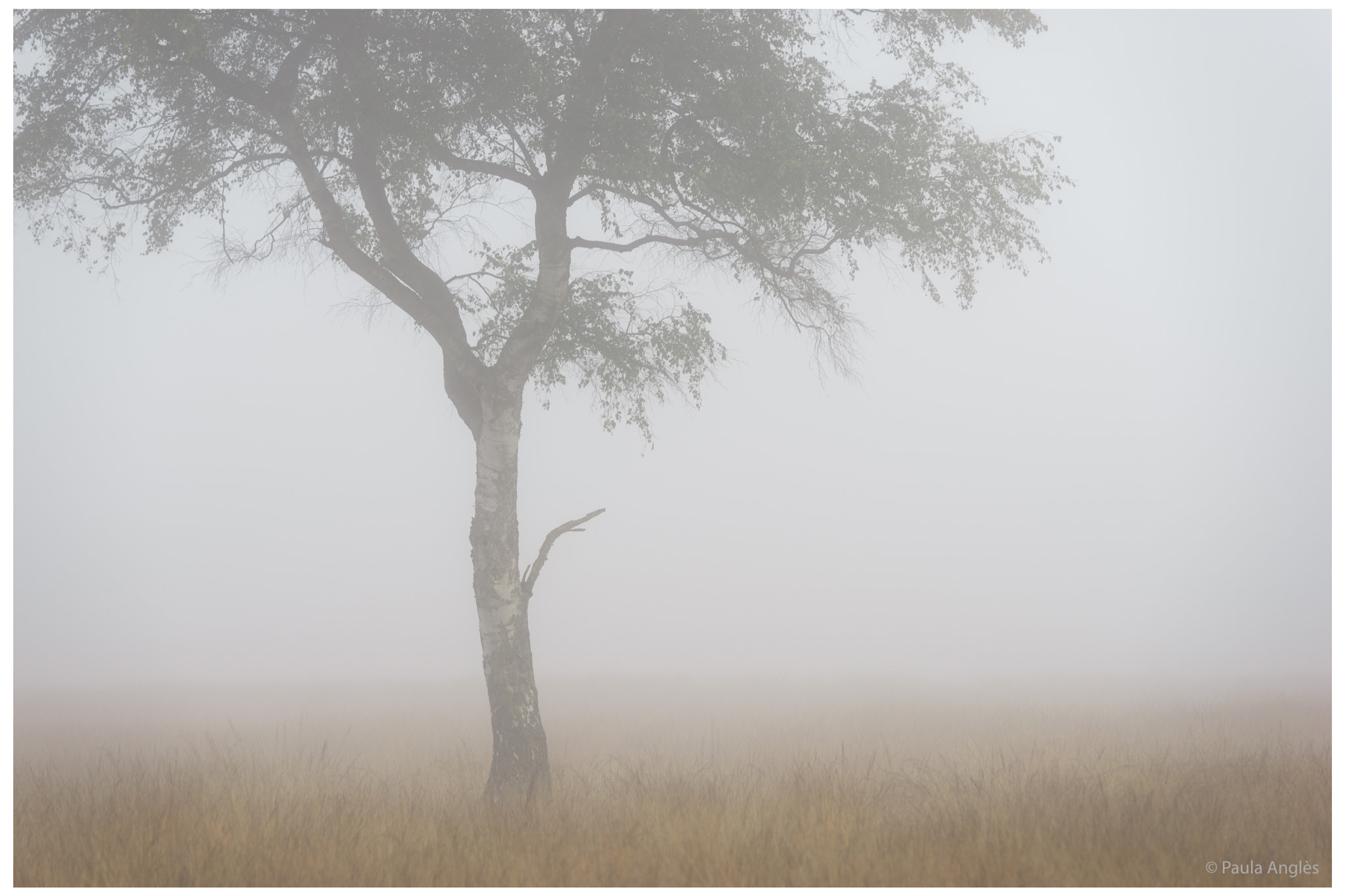 Sony a99 II sample photo. Peaceful morning photography