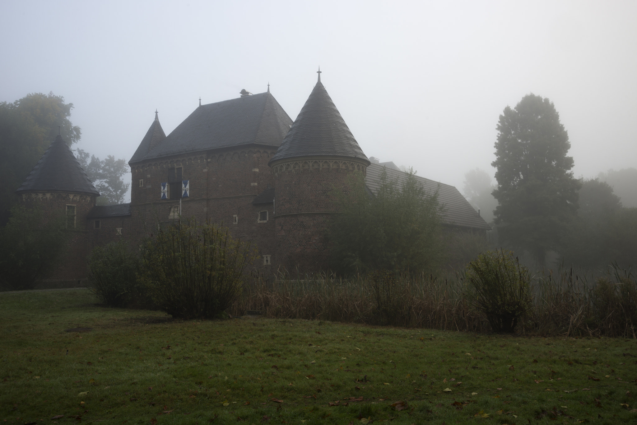 Sony a99 II sample photo. Burg im nebel photography