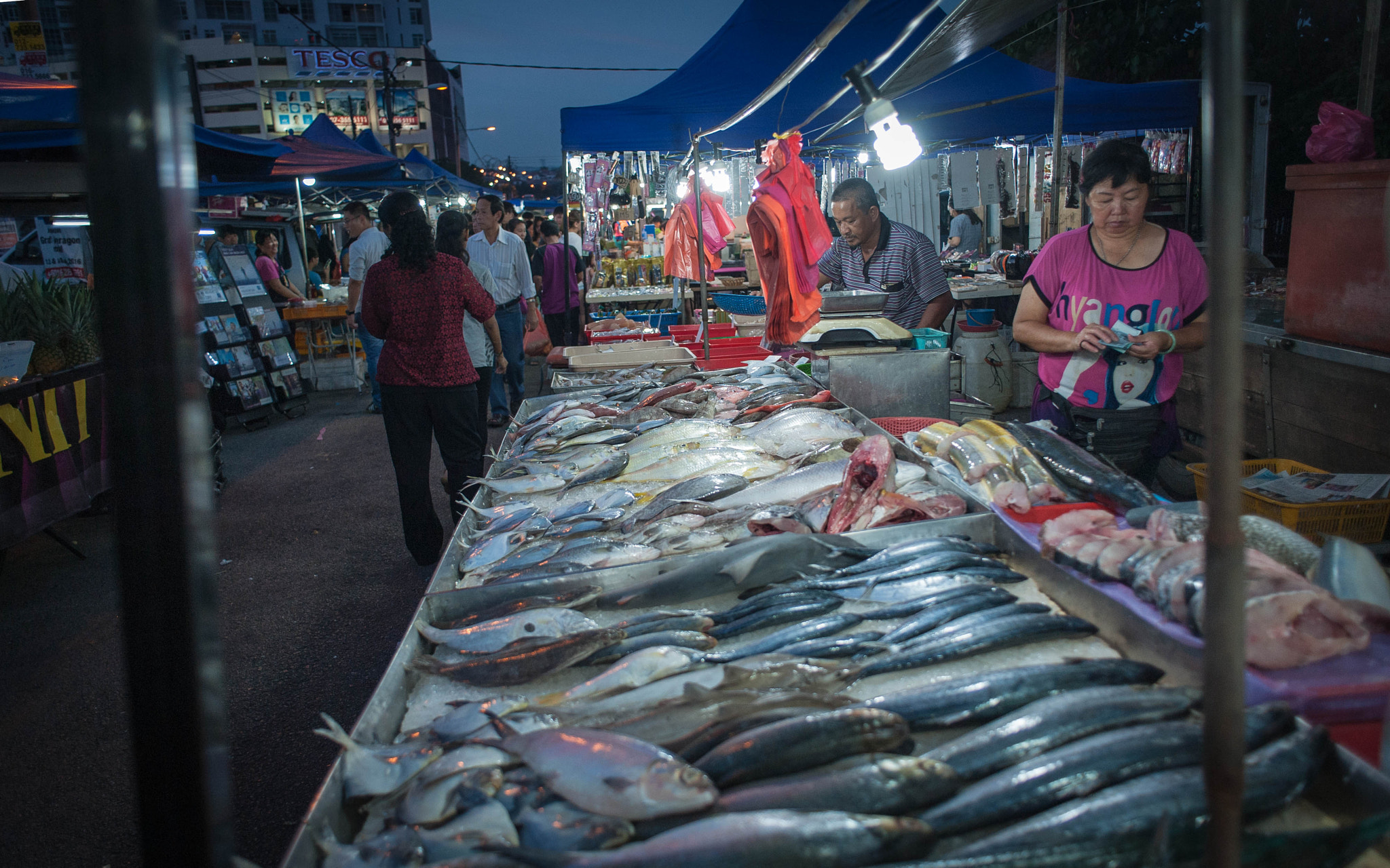Nikon D700 + Nikon AF Nikkor 24mm F2.8D sample photo. Johor fish photography