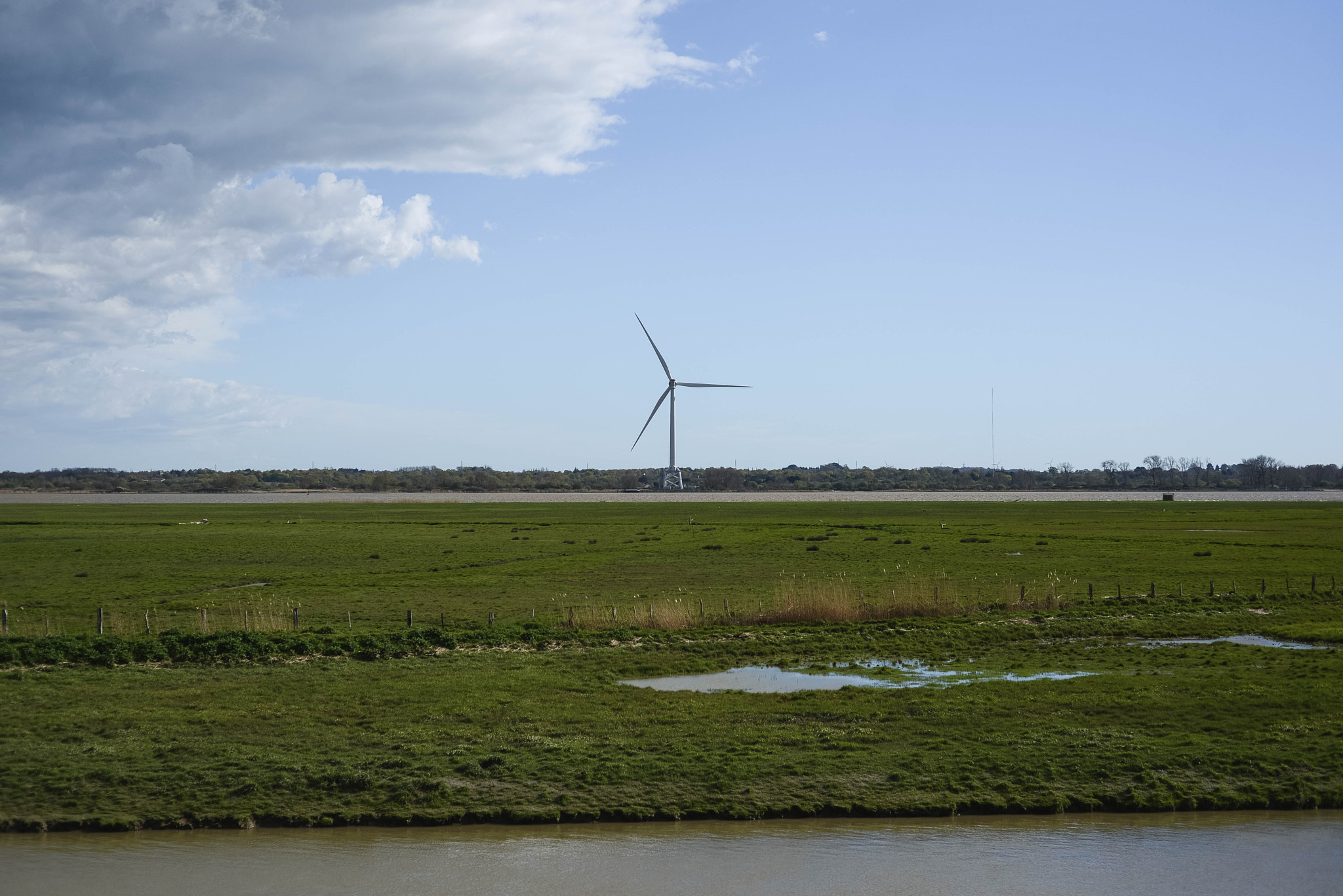 Nikon D600 + AF Nikkor 50mm f/1.8 sample photo. Wind photography