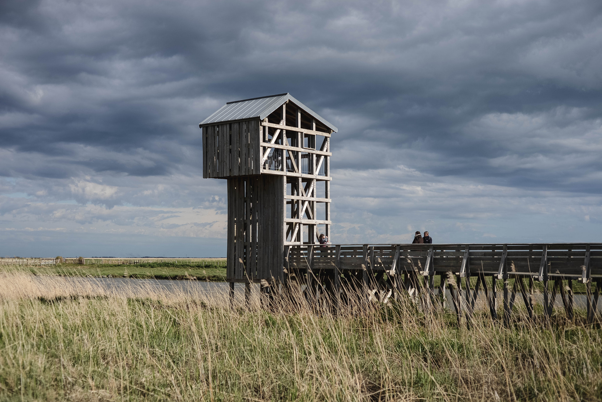 Nikon D600 + AF Nikkor 50mm f/1.8 sample photo. Wood structure photography