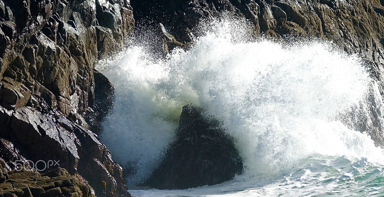 Sony 24-600mm F2.4-4.0 sample photo. Explosive force.....! photography