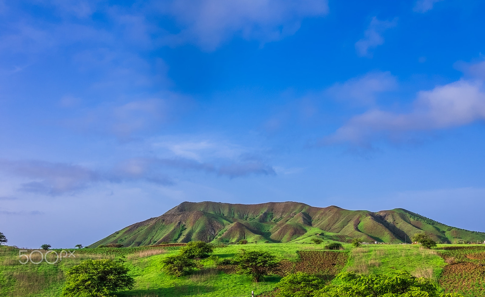 Canon EF 28-300mm F3.5-5.6L IS USM sample photo. ~ awakening ~ photography